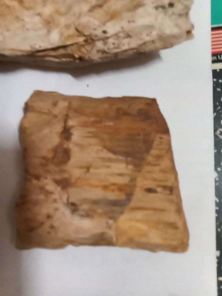 Lot Of Petrafied Wood 3 Piece Set Raw
