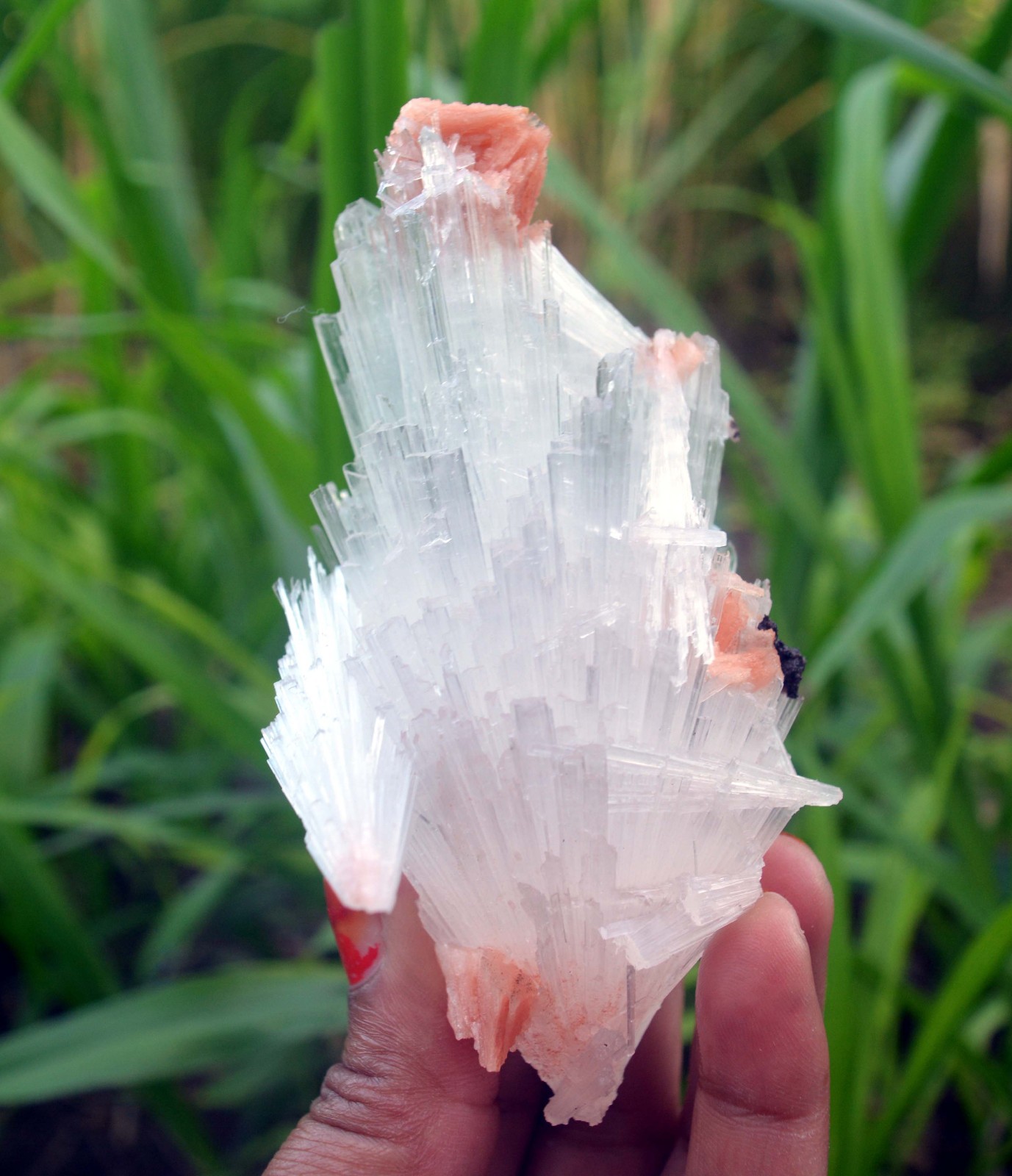 scolecite spray w/ stilbite formation minerals specimen j-7