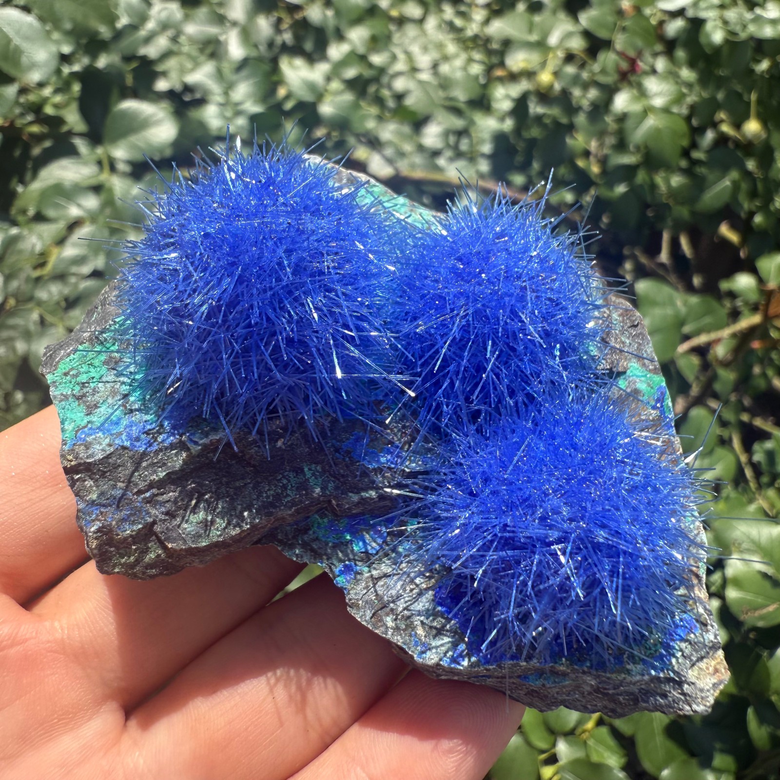 Raw Rough Dandelion Zeolite Cluster Blue Cave Quartz Crystal Specimen Decoration