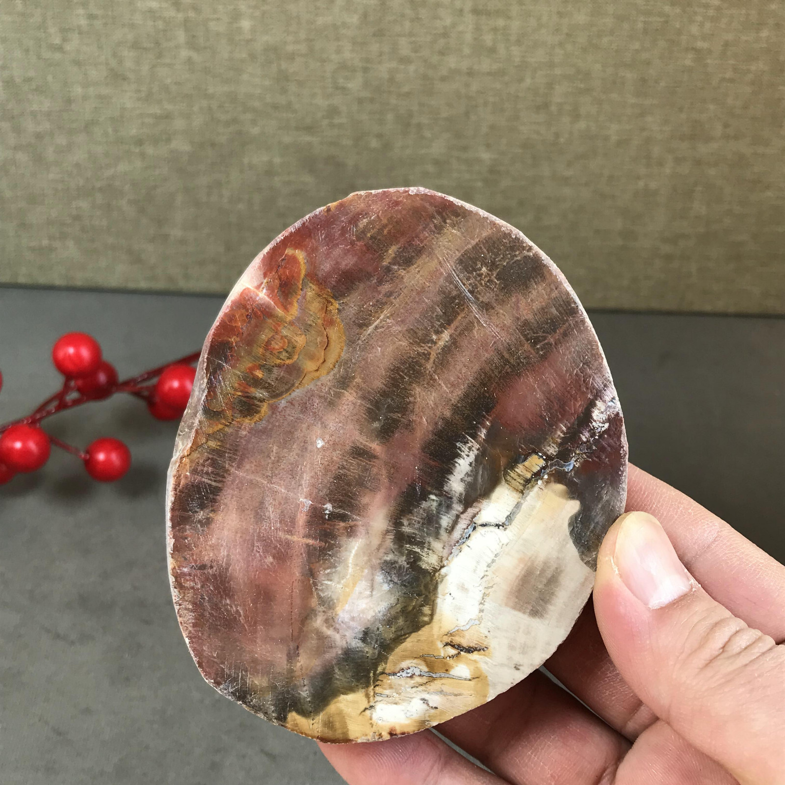97mm natural Beautiful Petrified Wood Crystal Slice mineral specimen 247g A5426