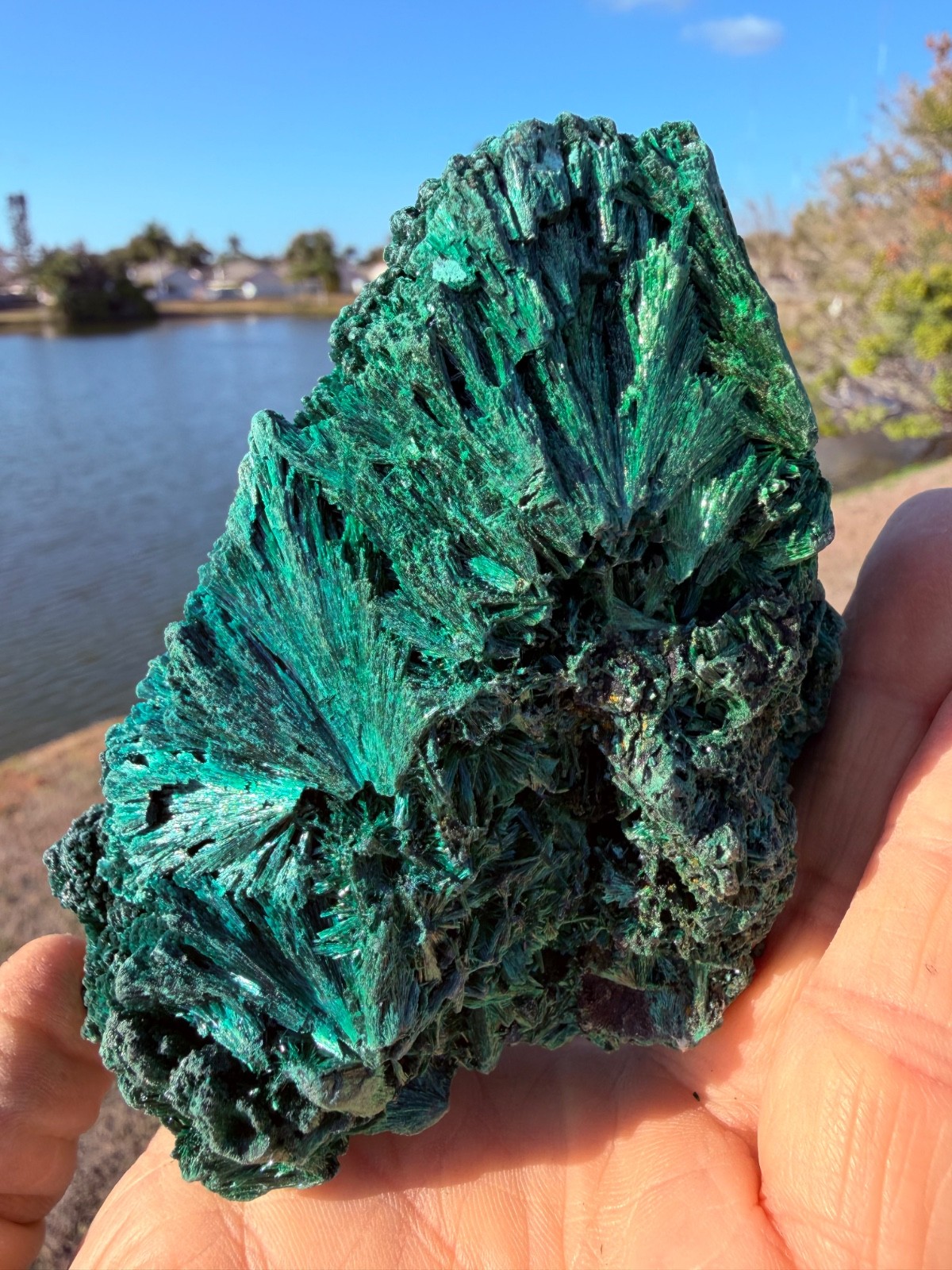 NATURAL CRYSTAL FIBROUS MALACHITE CRYSTAL CLUSTER 716 Grams 5″
