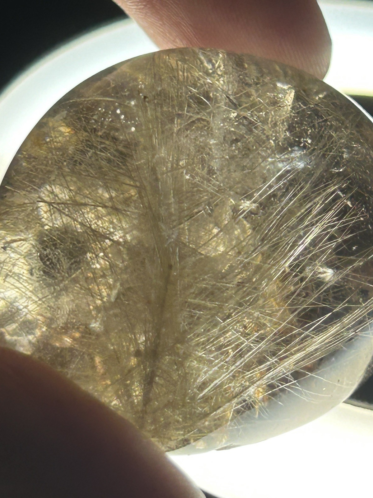 Clear Garden Quartz Lens With Gold Rutile Tree 48g/38.6mm x 30.8mm x 19.6mm