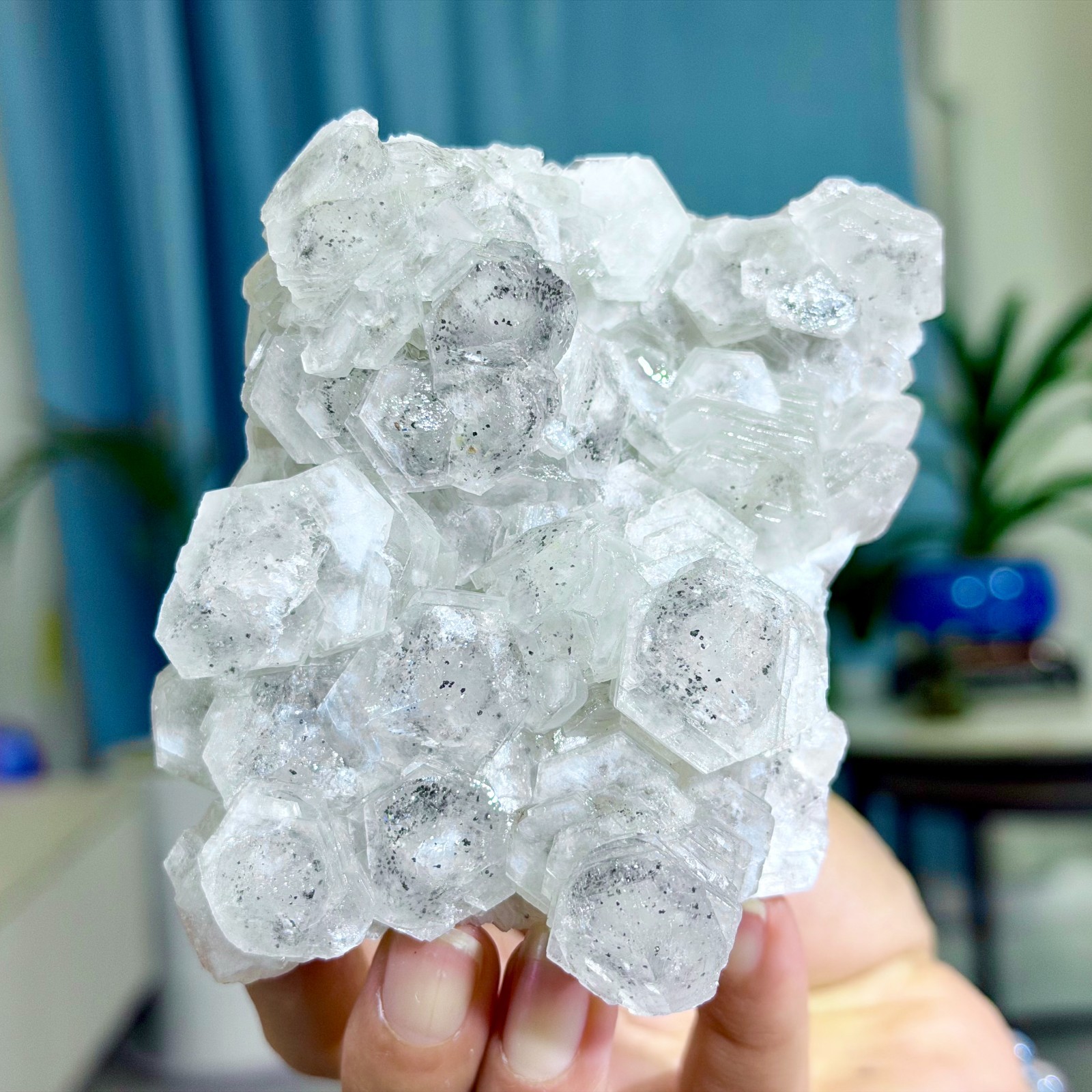 1.11LB Natural String of Copper Coins Calcite/Fluorescent Glow Under UV Light