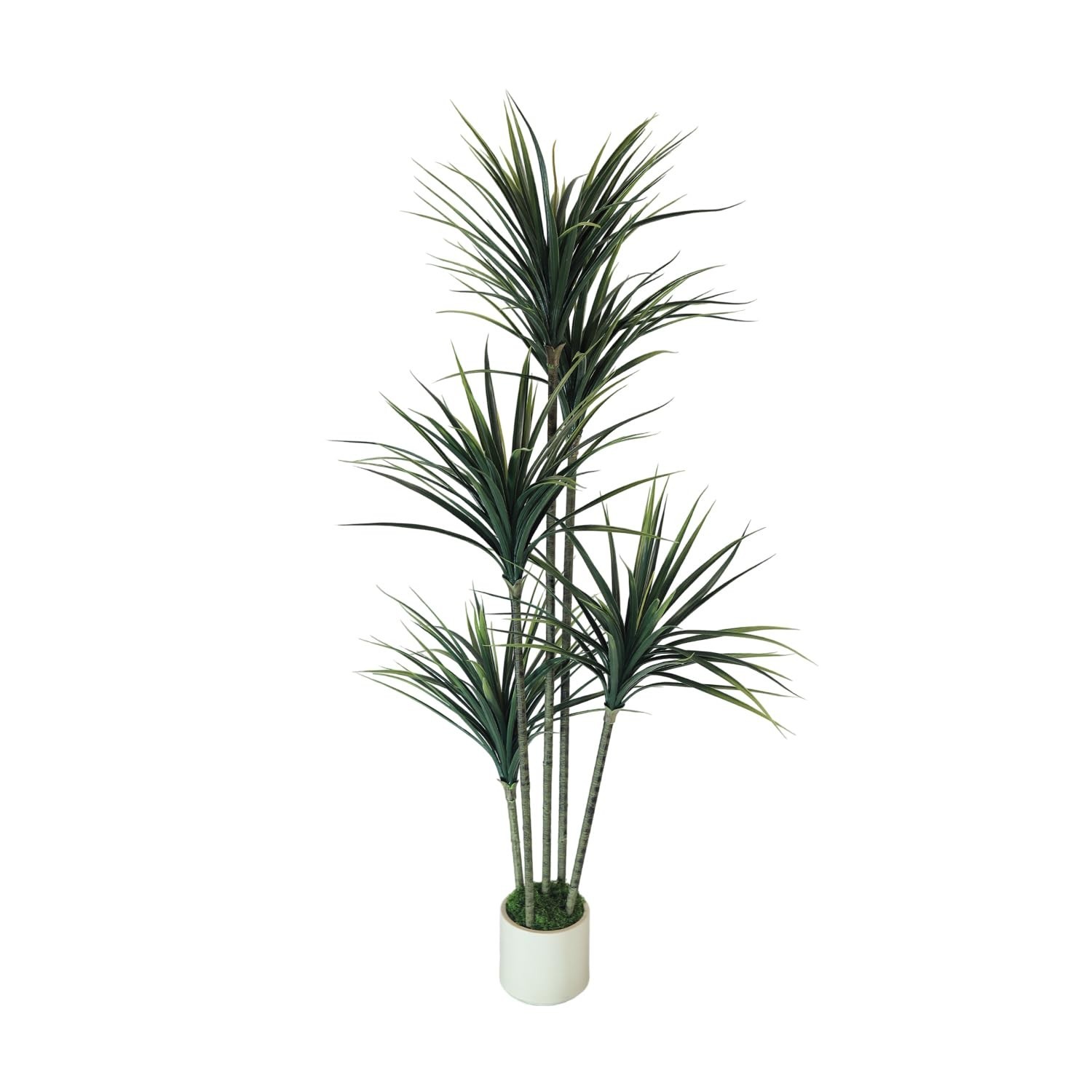5FT Artificial Dracaena Tree: Realistic Fake Plant with White Planter – Lifel…