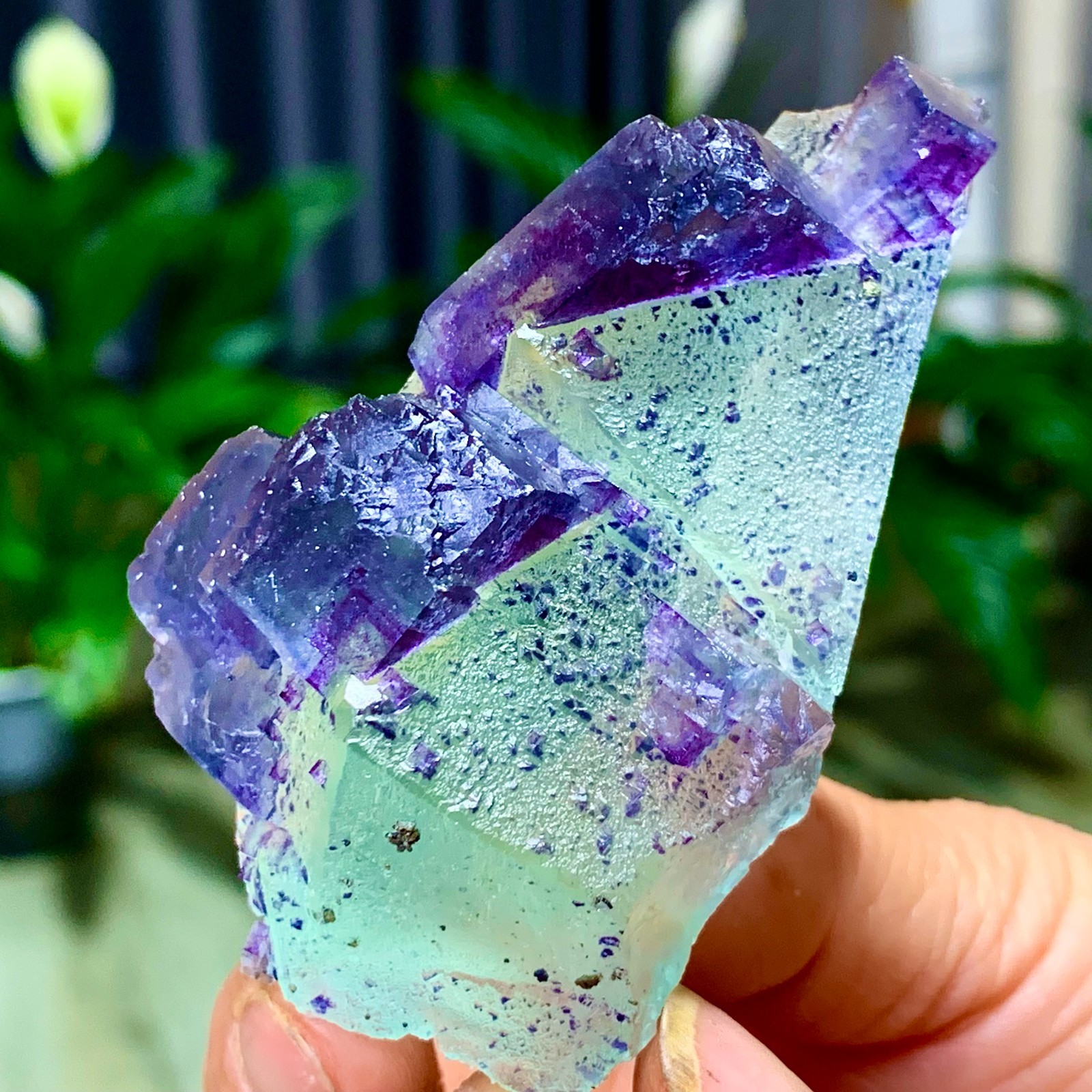 86G Rare transparent green purple cubic Zhejiang fluorite mineral sample