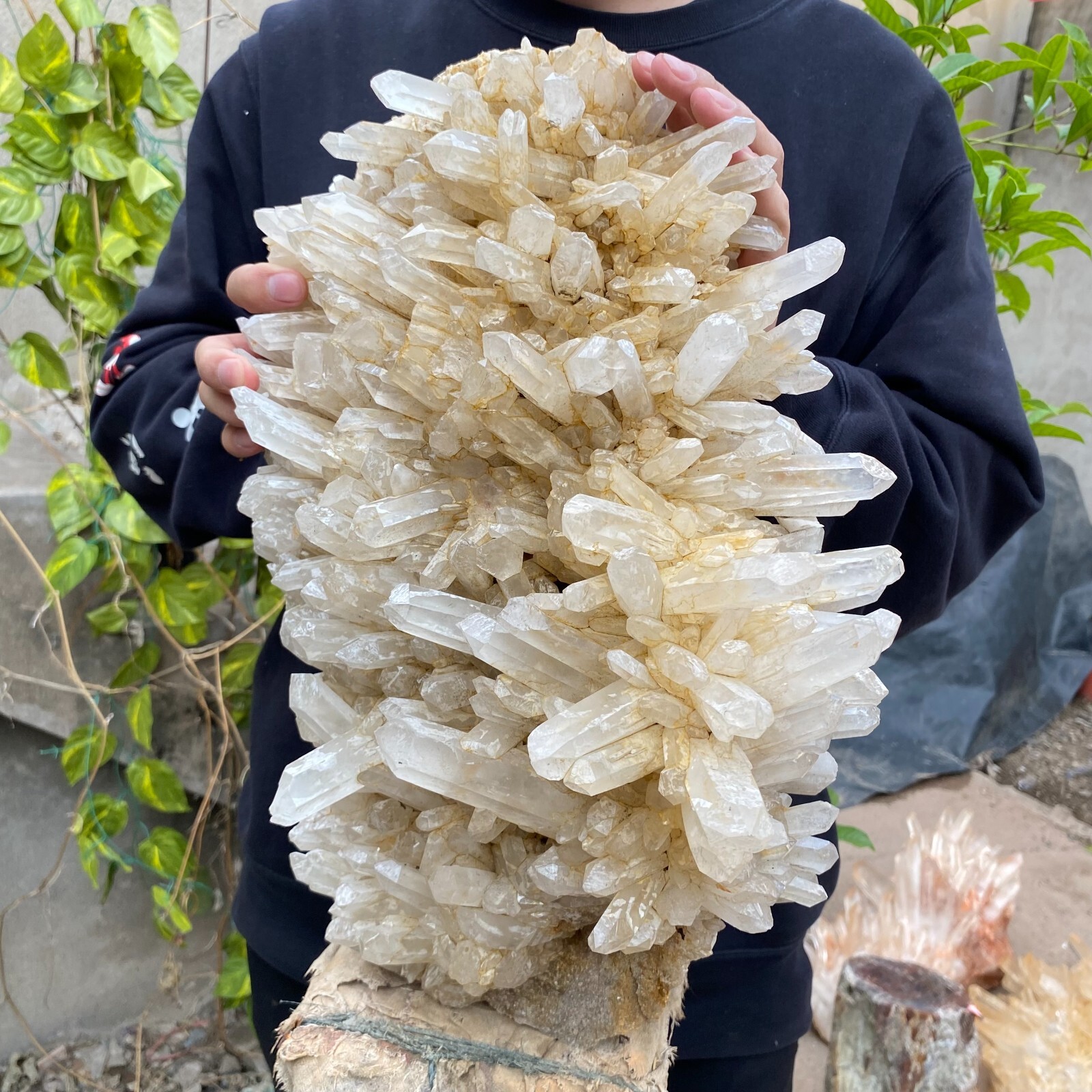 43.9lb Natural Clear White quart Crystal Cluster Raw Healing Specimen