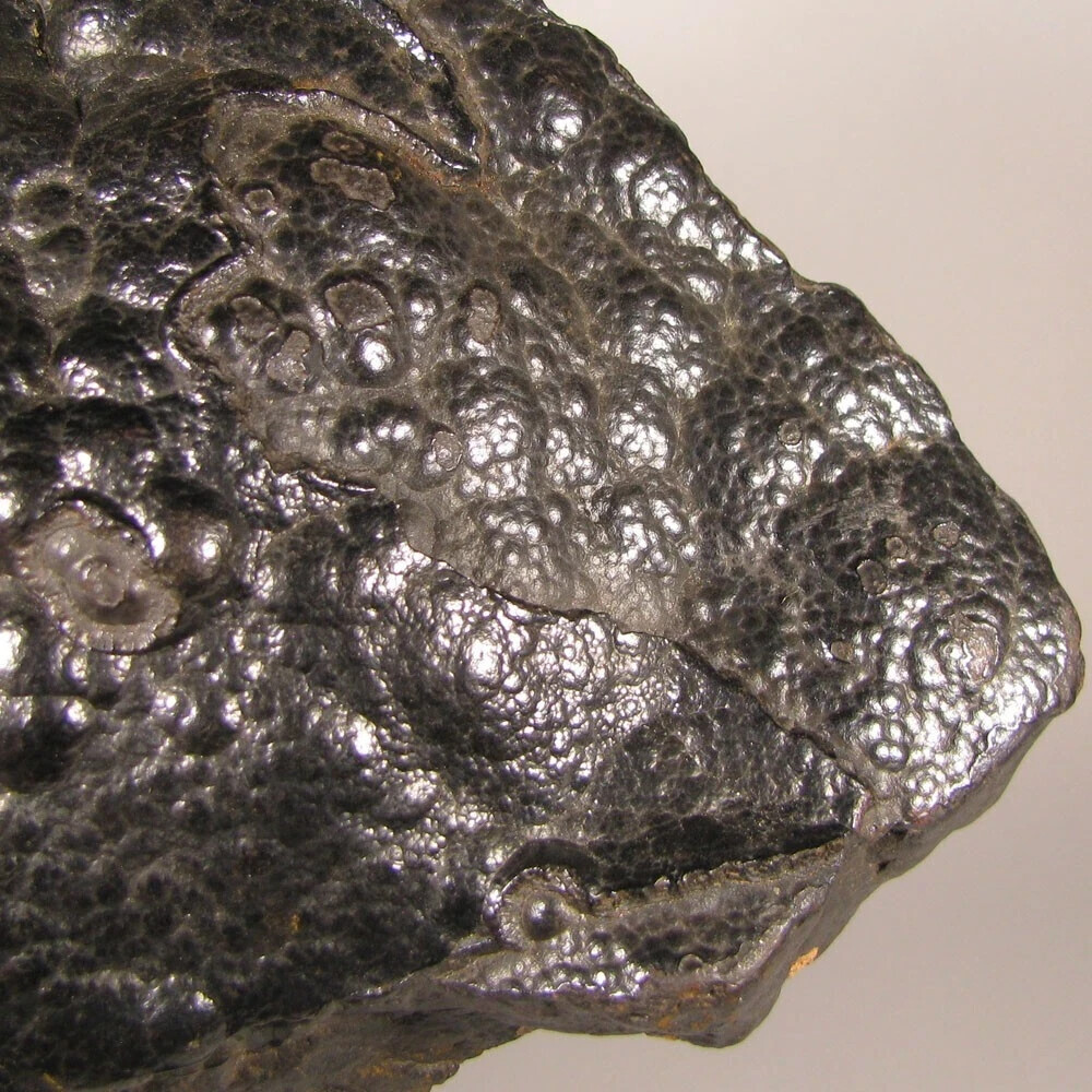 7.8″ BOTRYOIDAL HEMATITE Kidney Ore Cluster – Morocco – 6 lbs.