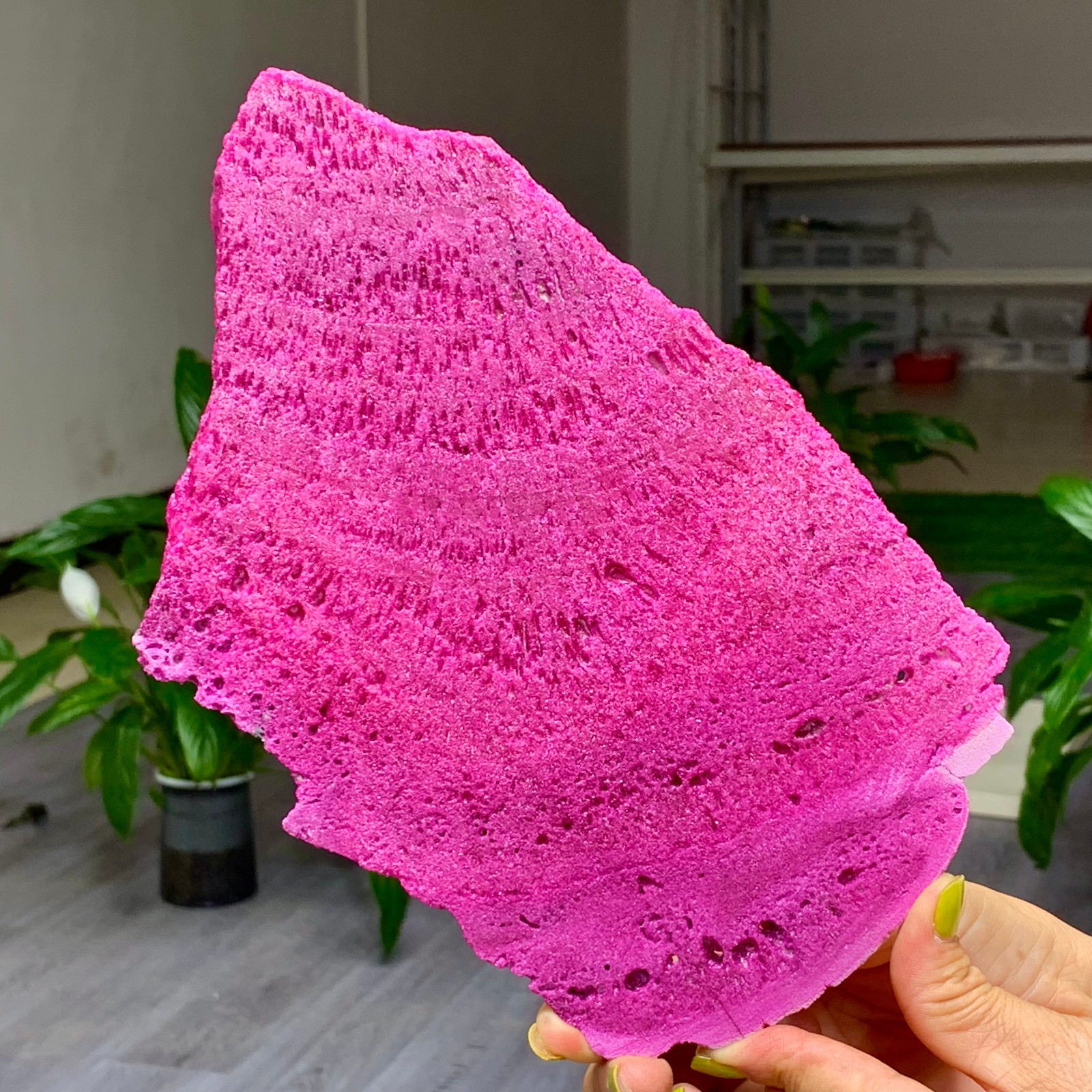 1.14LB Natural Rough Red Corundum Phlogo Pit Mineral Spirits Ruby Raw Gemstone