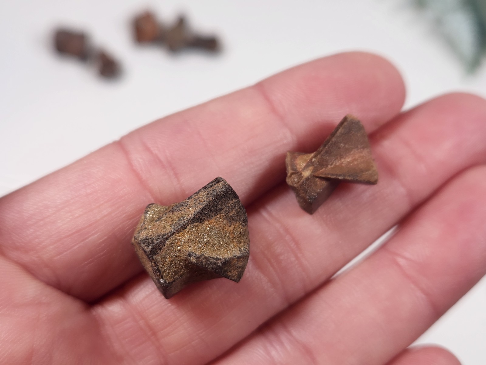 10 Fairy Cross Specimen Crystals Madagascar St Andrews Cross 10mm -15mm Et1
