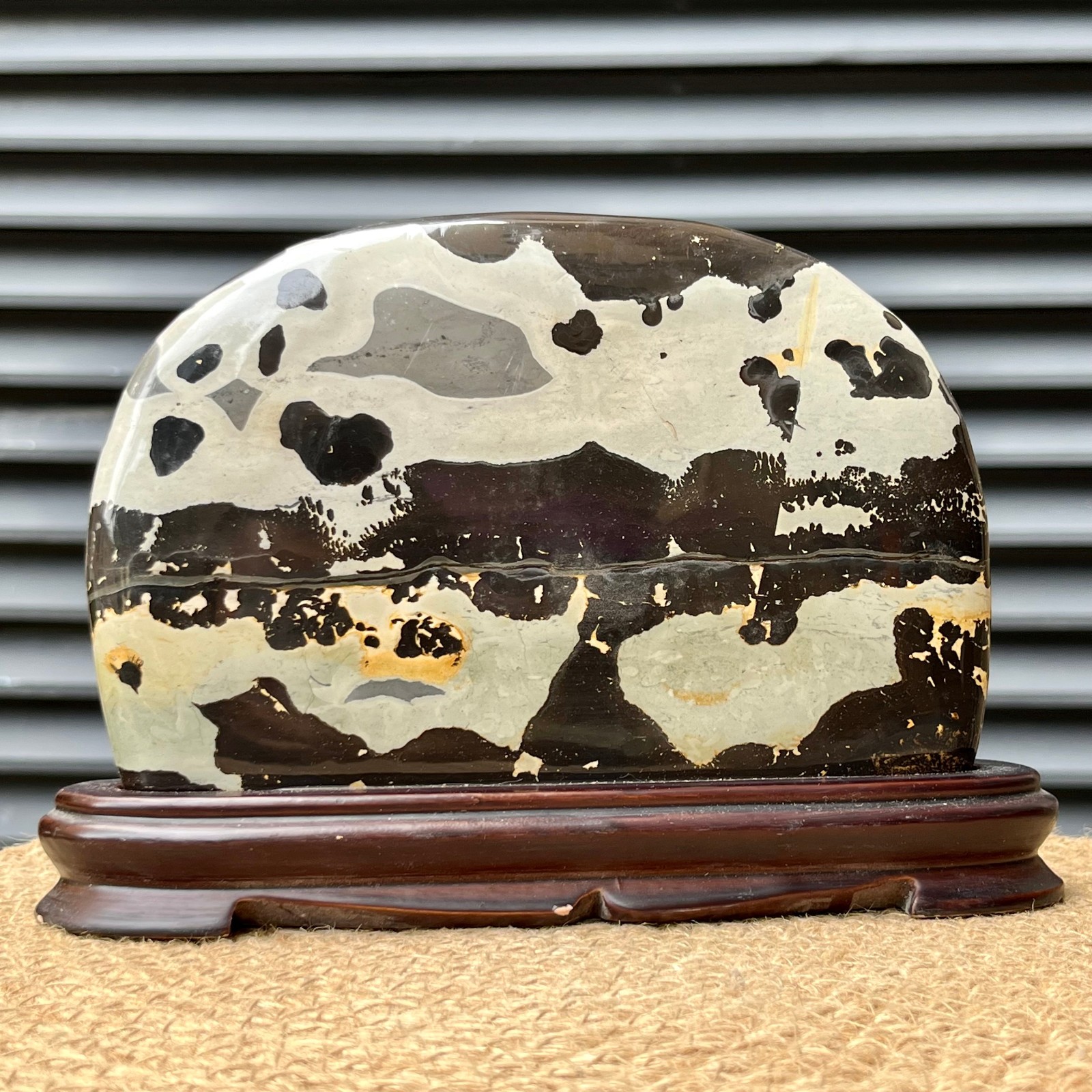 2.5 lb Scenic Stone Natural Pattern Polished Display Art Wood Base