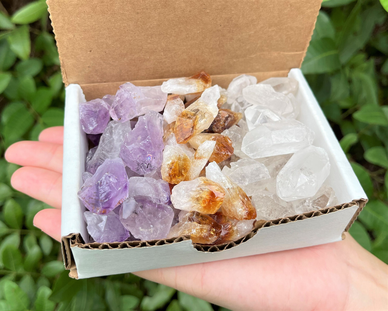 Amethyst, Citrine, Quartz Points Crystal Collection in Box 1/2 lb Bulk Mixed Lot