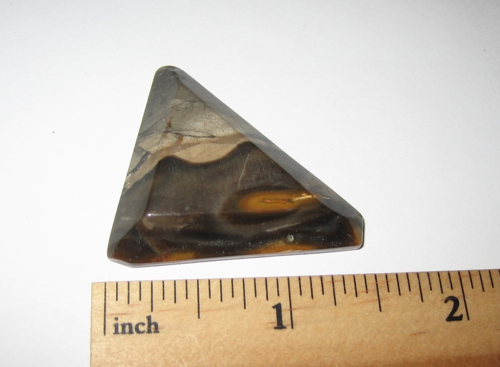 1.6″ TUMBLED POLISHED CABOCHON STYLE FOSSIL FORAMINIFERA STONE INDONESIA 10g *4