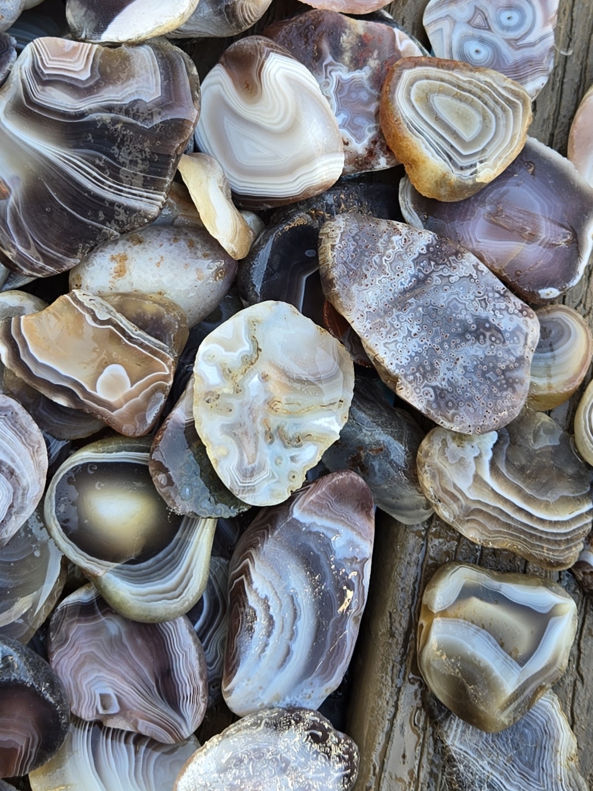 Botswana Agate rough 1-2″ A+ pound lbs tumbling lapidary banding wholesale bulk