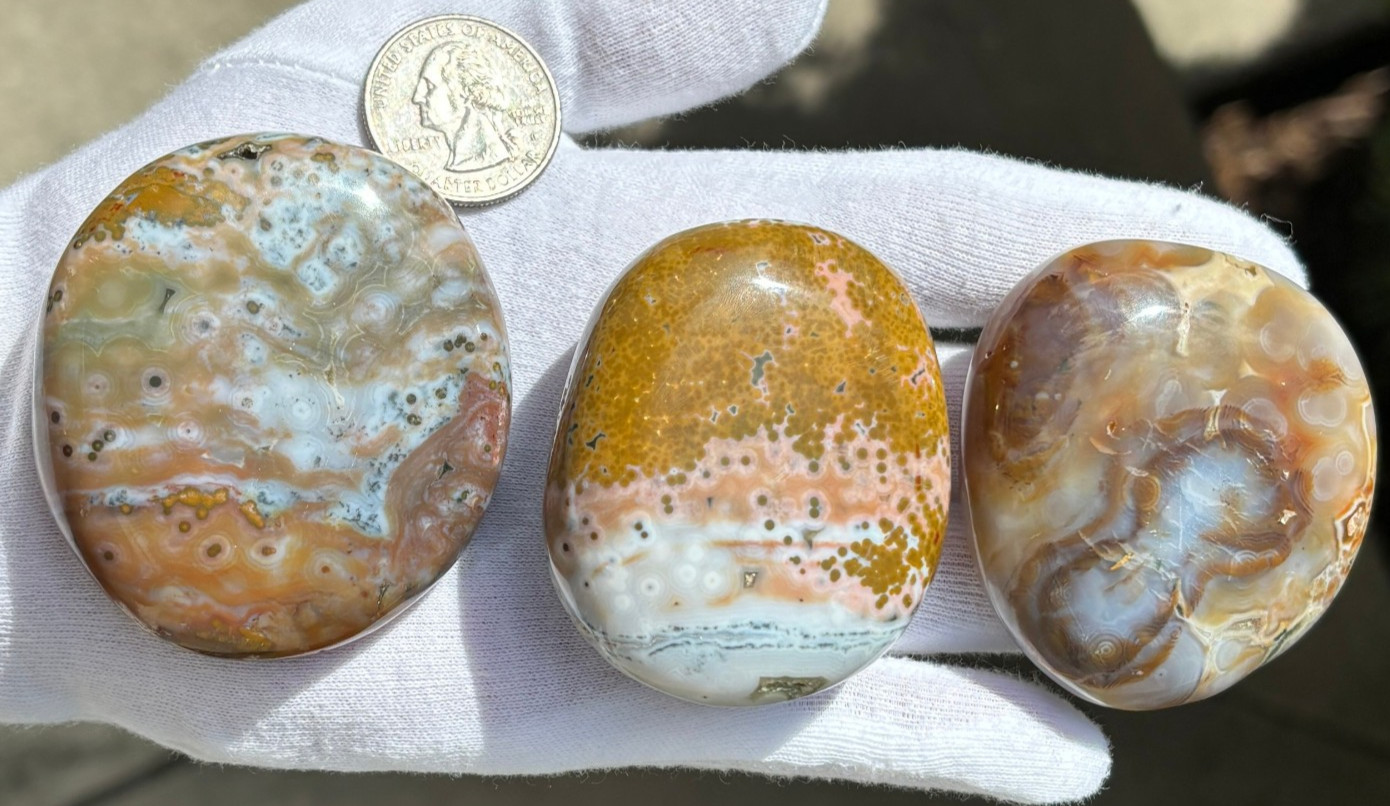 US SALE 297g LOT 3 OCEAN JASPER with 8th VEIN 8 OJ PALM STONES PALM STONE STONES