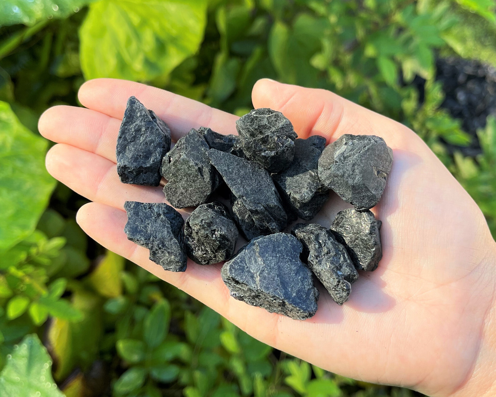 Black Tourmaline Crystals Natural Stones 1/2 lb Bulk Wholesale Collection Box