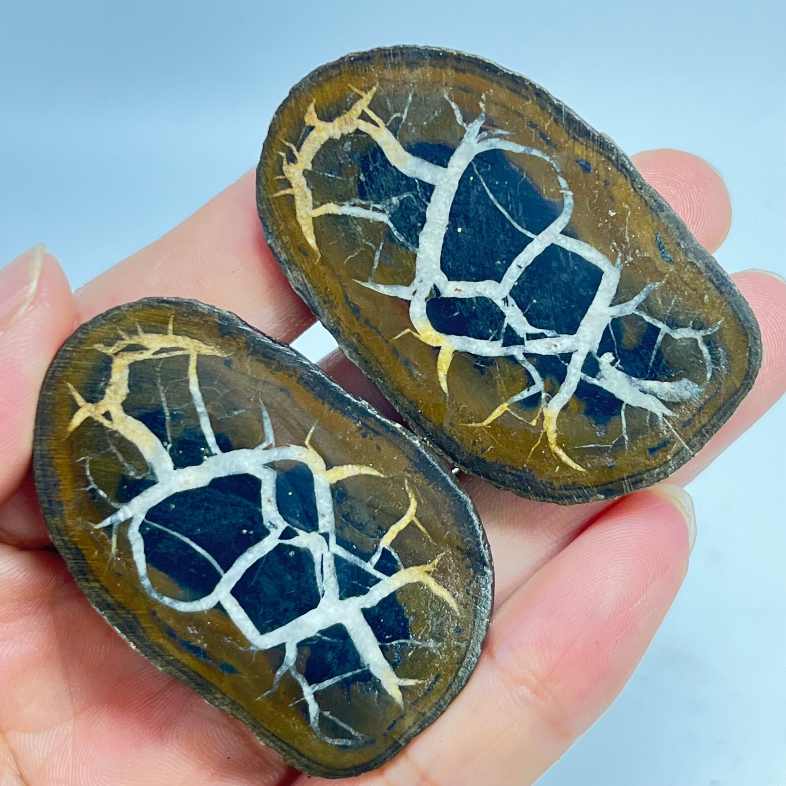 62G Natural Crystal Moroccan Turtle Back Stone Cutting Quartz Energy Spirit