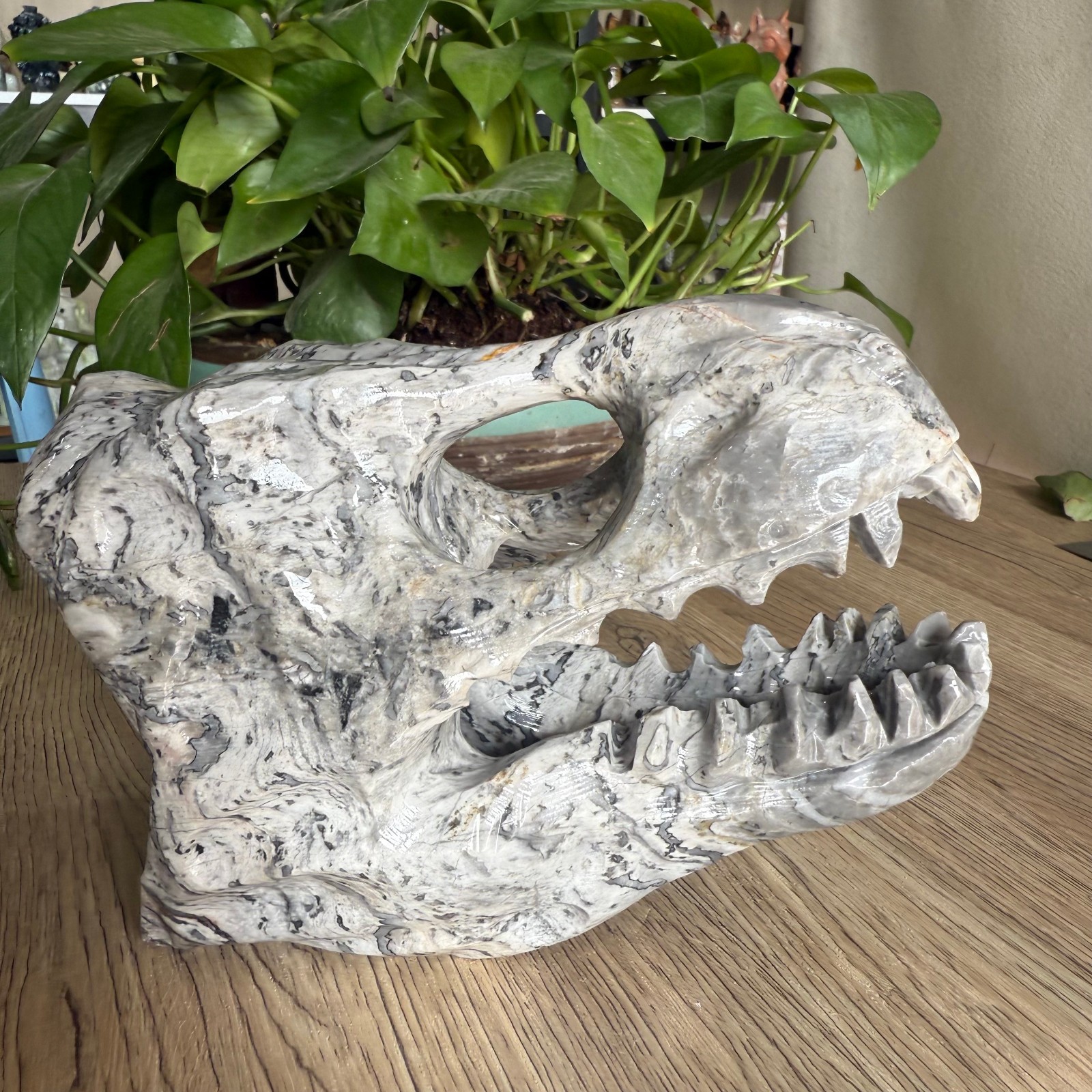 3LB natural Zebra stone Dinosaur skull carved Quartz Crystal reiki Gift