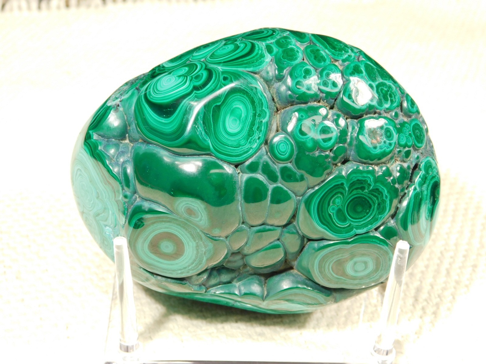 BIG! Polished Deep GREEN Malachite STALACTITE or Stalagmite w/Stand Congo 603gr