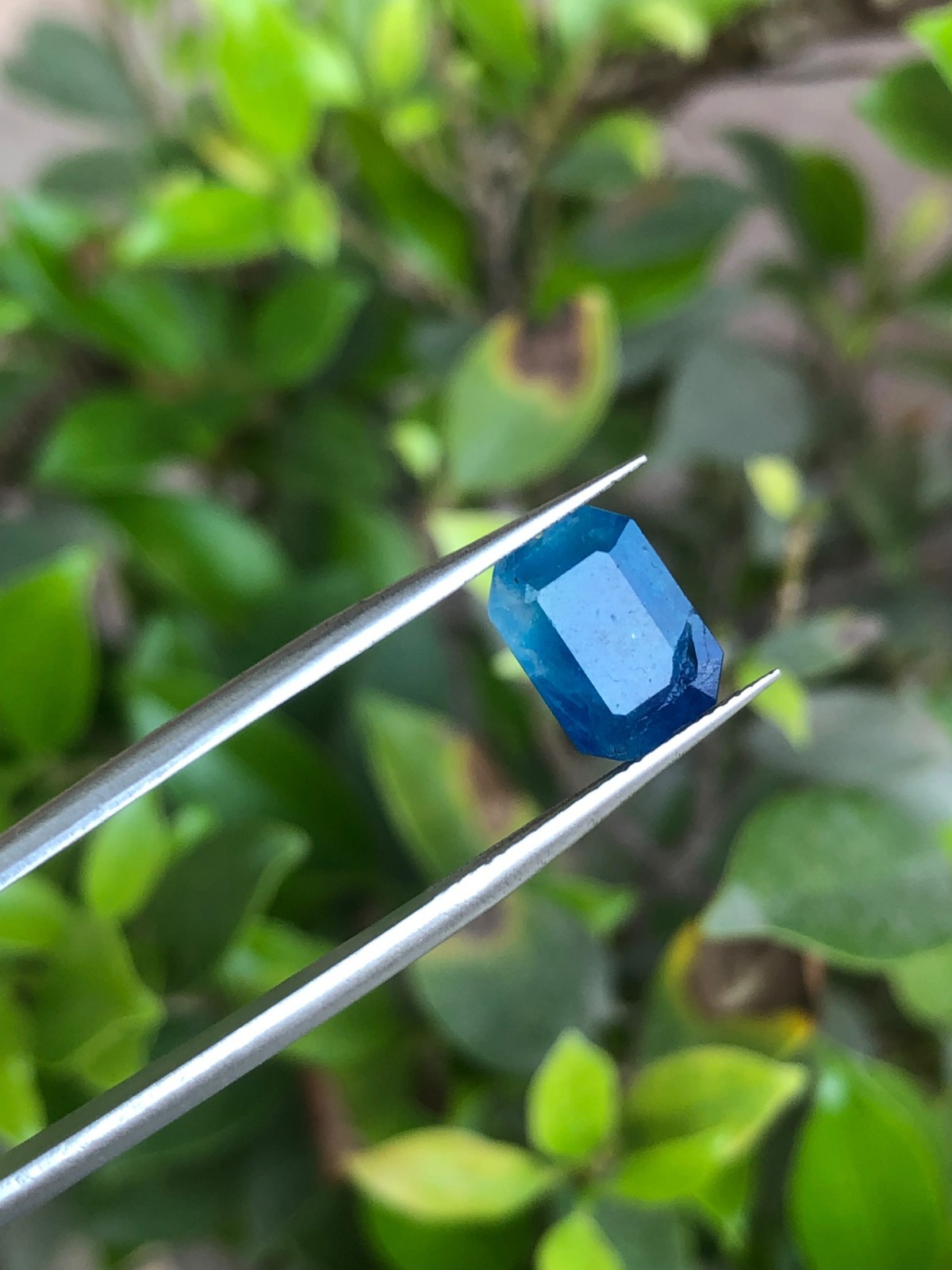 Natural Color Change Hackmanite Hayun 2.50 Ct Octagon Cut UV Fluorescent Gem