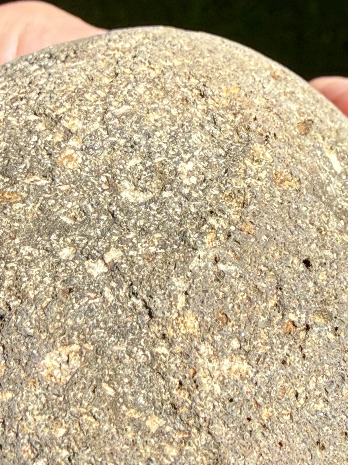 NATURAL SPHERICAL RHYOLITE OR SANDSTONE? CONGLOMERATE ROUND SPHERE STONE ROCK CA
