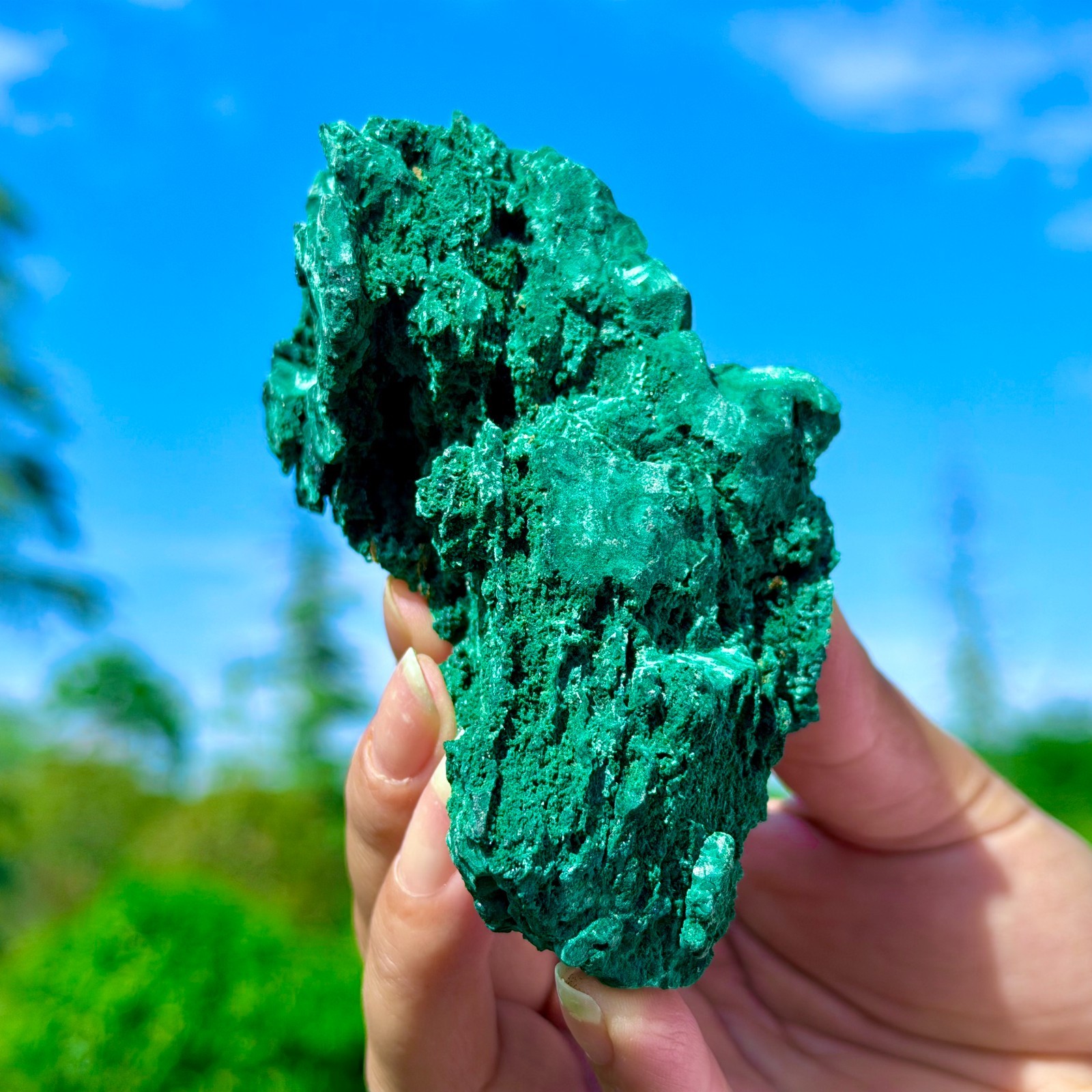 253G Natural VELVET Malachite cat’s eye specimen crystal rough mineral-Congo