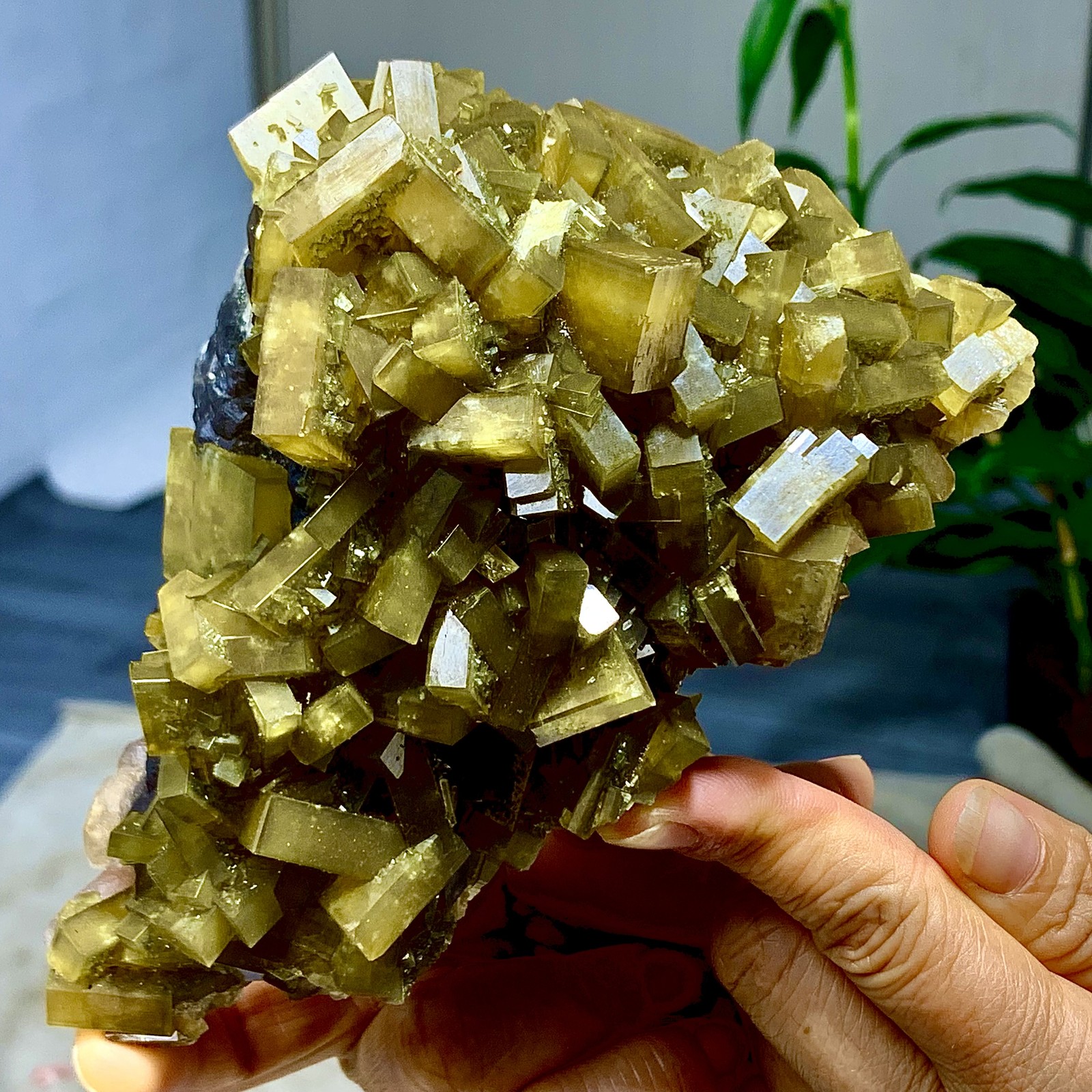 2.36LB Shiny Golden Cuboid Barite Crystal Based on the Purple Spherical Fluorite