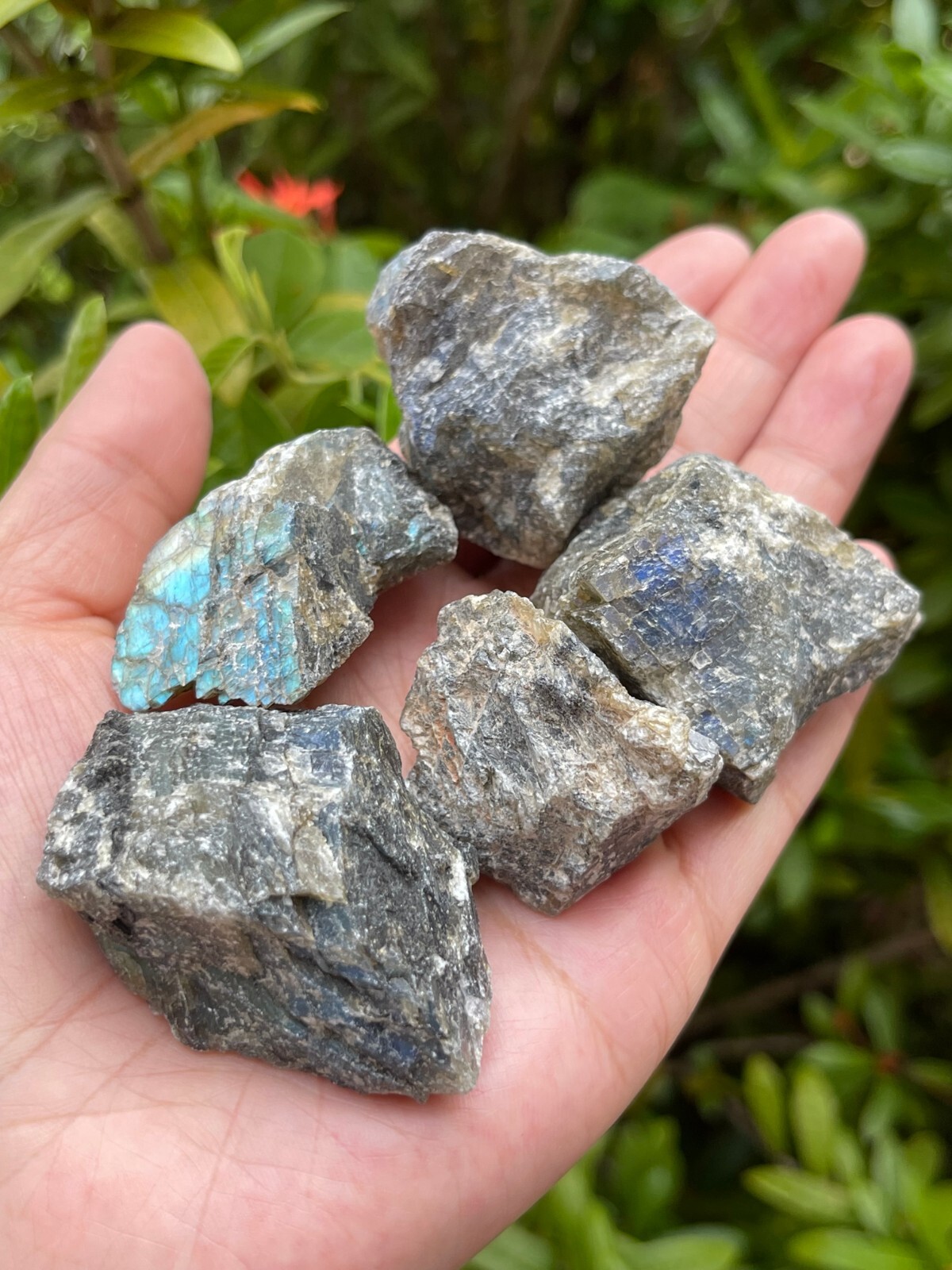 Grade A++ Labradorite Raw Natural Stone, 1″-2″ Rough Labradorite, Wholesale Lot