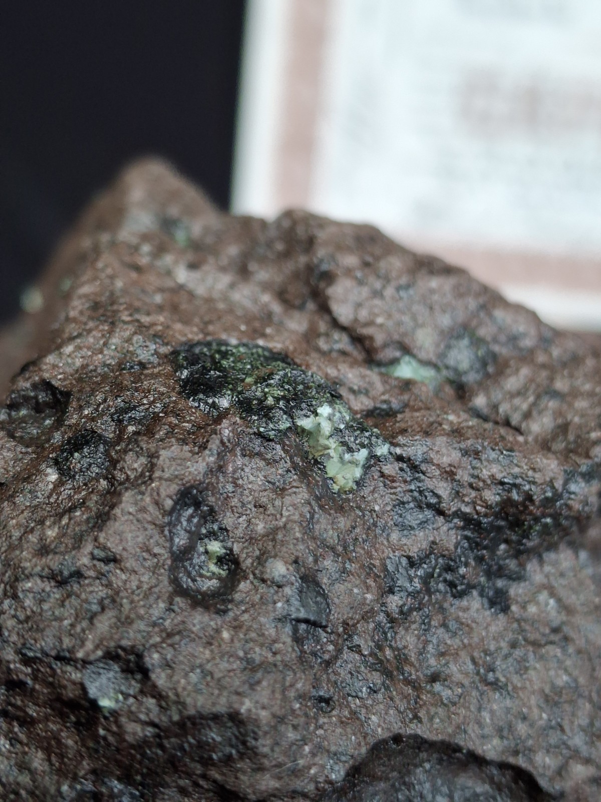 2lb 9oz Big Chunky Raw Greenstone Bright Isle Royale Chlorastrolite In Matrix