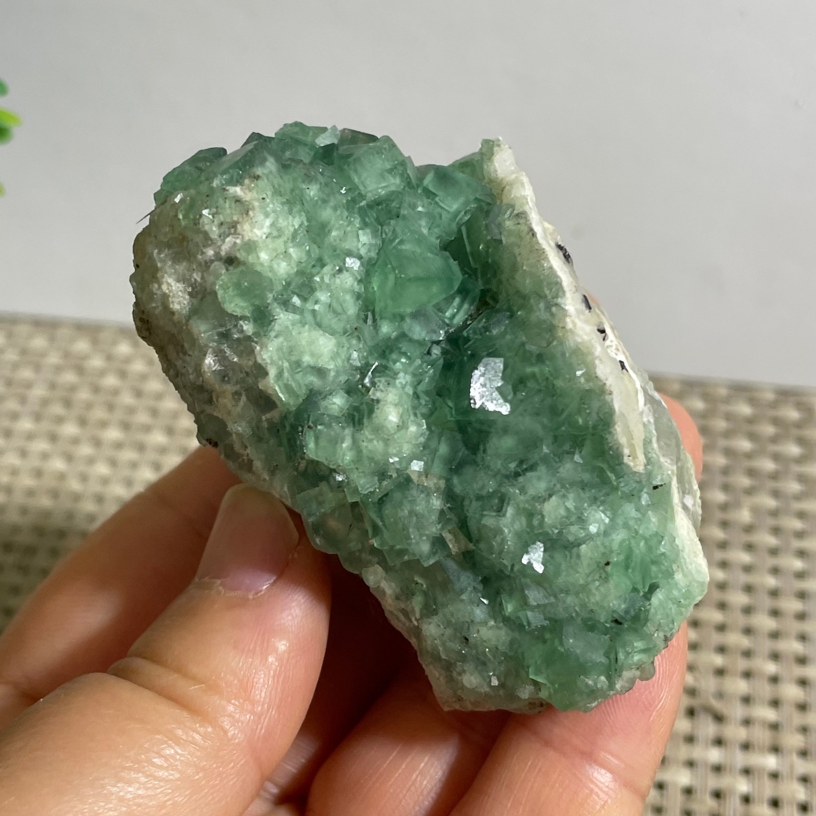 127g NATURAL Green Cube FLUORITE Quartz Crystal Cluster Mineral Specimen