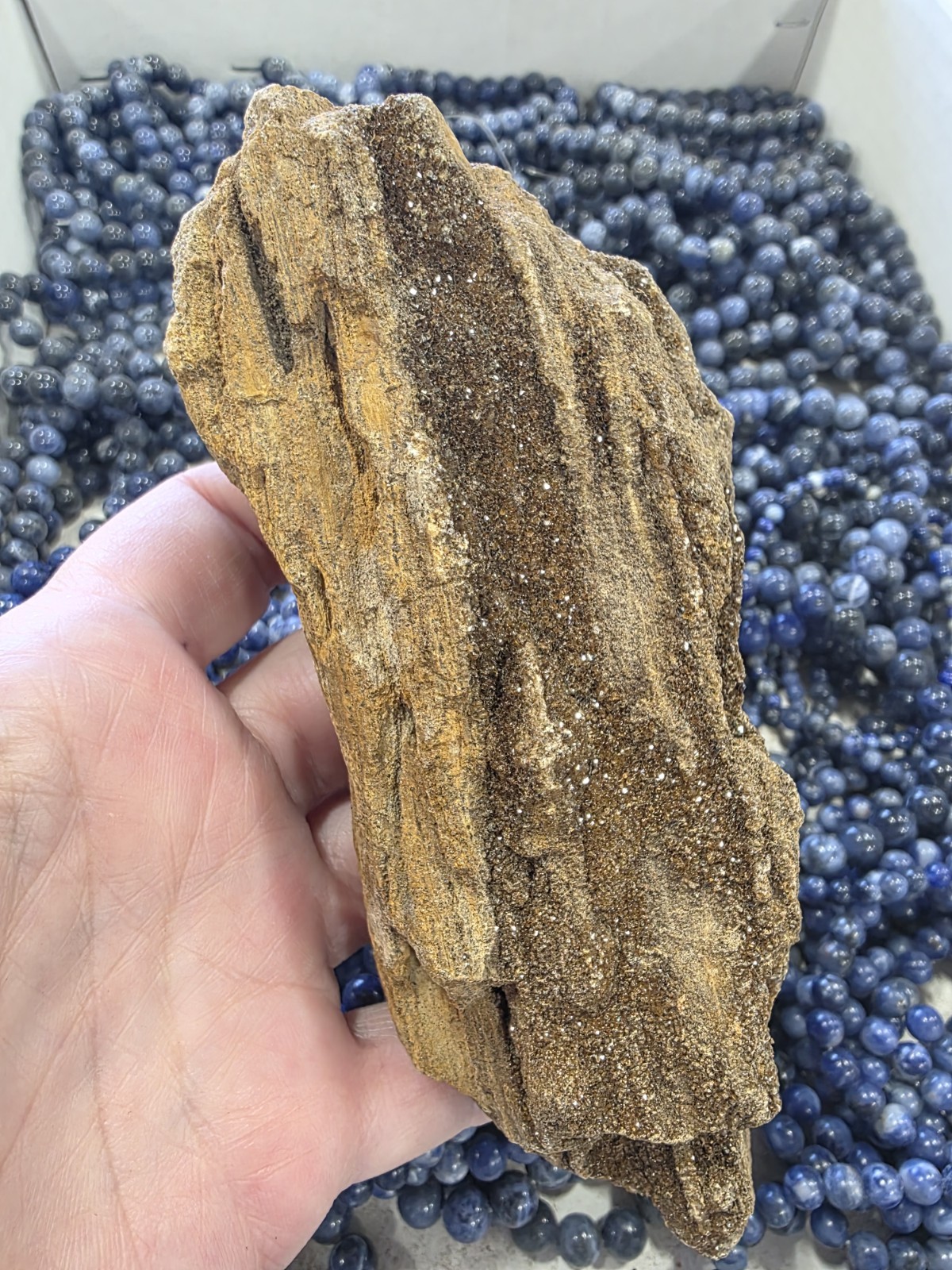 Alabama PETRIFIED WOOD WITH SMOKIE QUARTZ DRUZY! Kilo Lots. Ships From USA