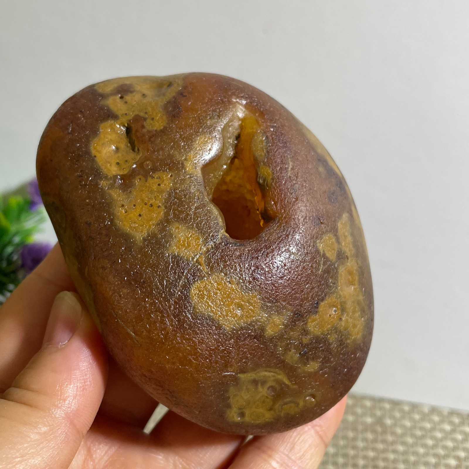Bonsai Suiseki- Gobi Agate Eyes Stone-Rare Stunning Viewing 290g