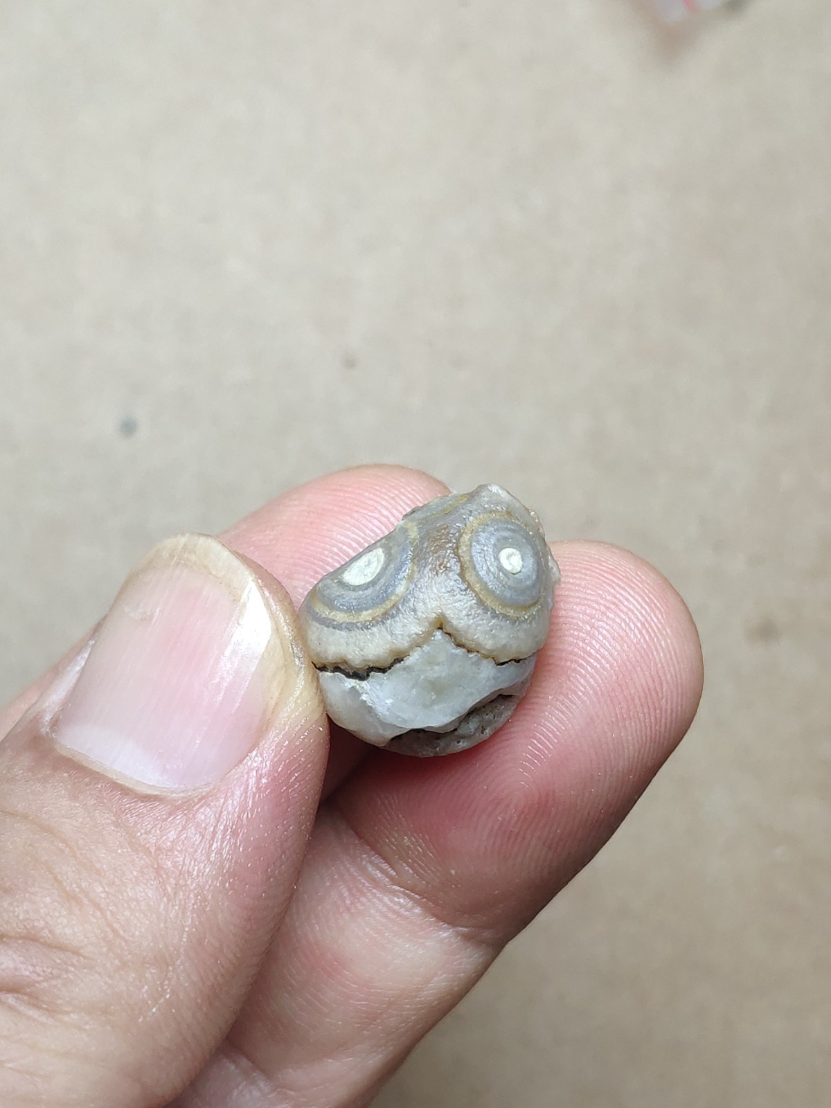 17mm Beautiful Natural agate Gobi agate eye agate cute collection