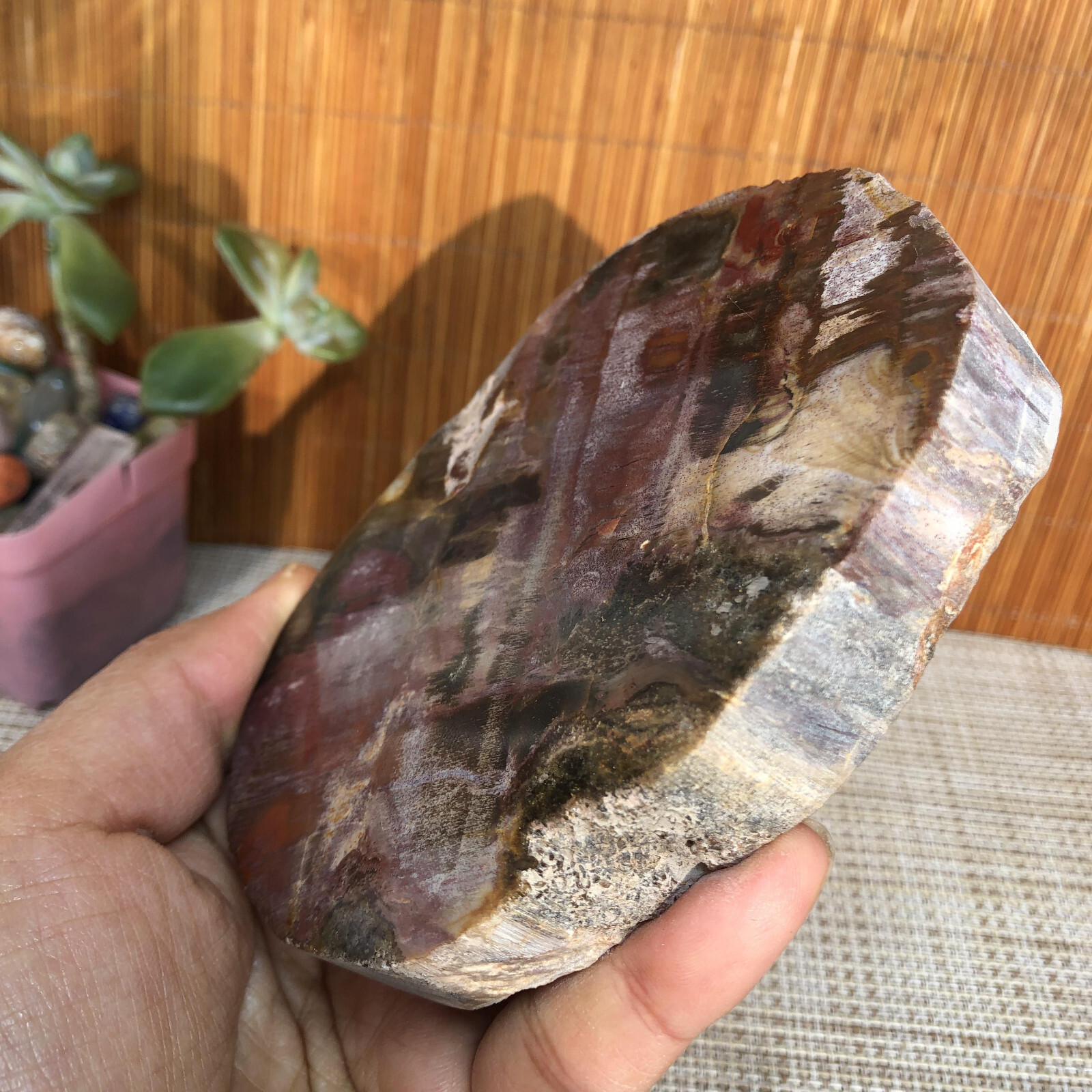 109mm natural Beautiful Petrified Wood Crystal Slice mineral specimen 341g A4860