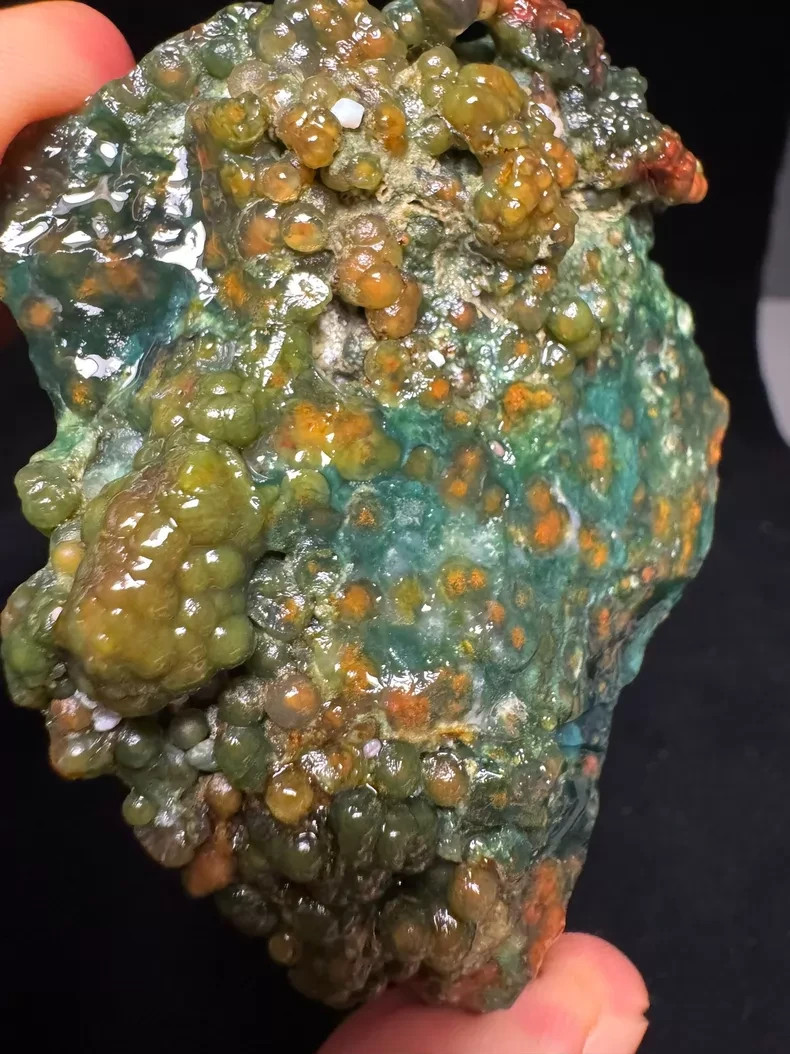 Botryoidal Eye Ocean Jasper Old Stock 100.4g Healing Collector Crystal Specimen