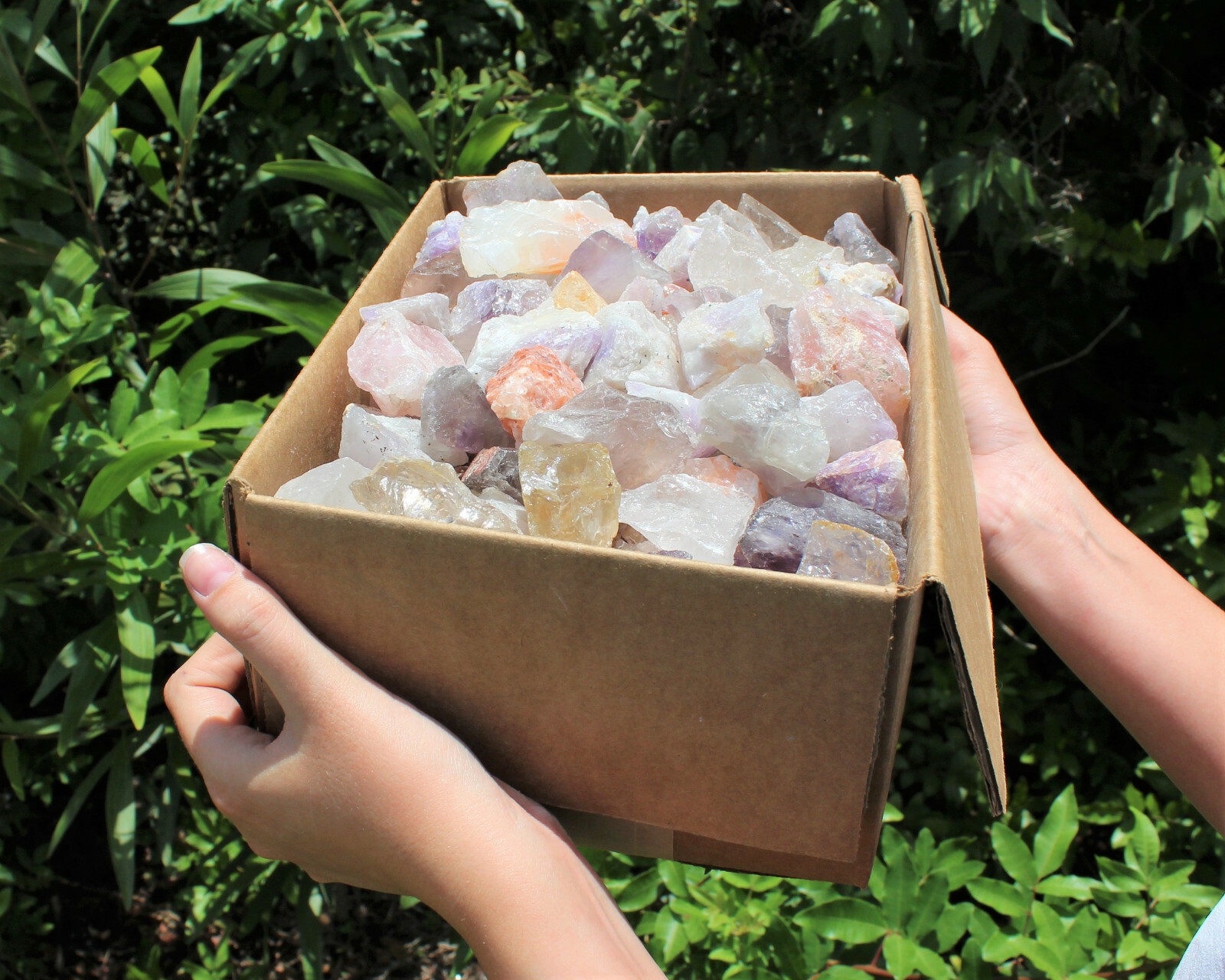 Garden Mix Assorted Rough Stones: 8 lb Bulk Clearance Box (Raw Natural Rocks)