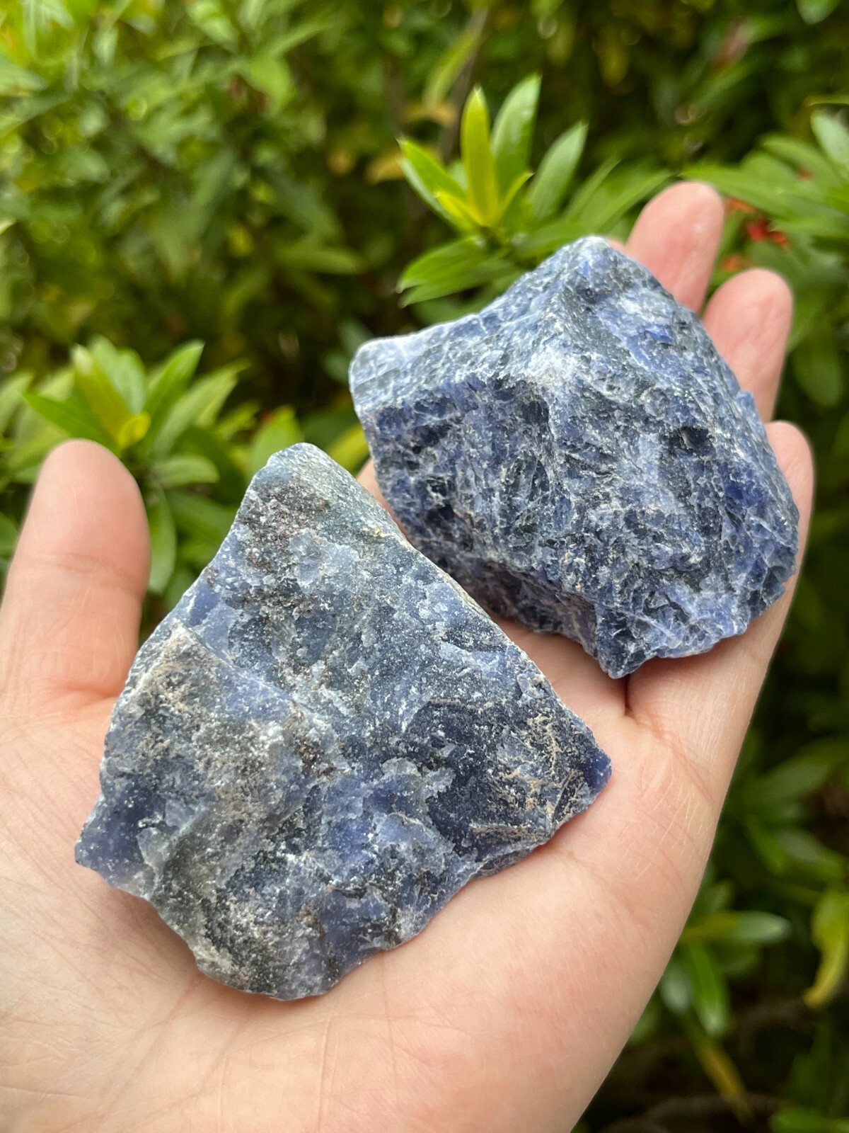 Large Sodalite Rough Natural Stones, 2-3″ Raw Sodalite Stone, Wholesale Bulk lot