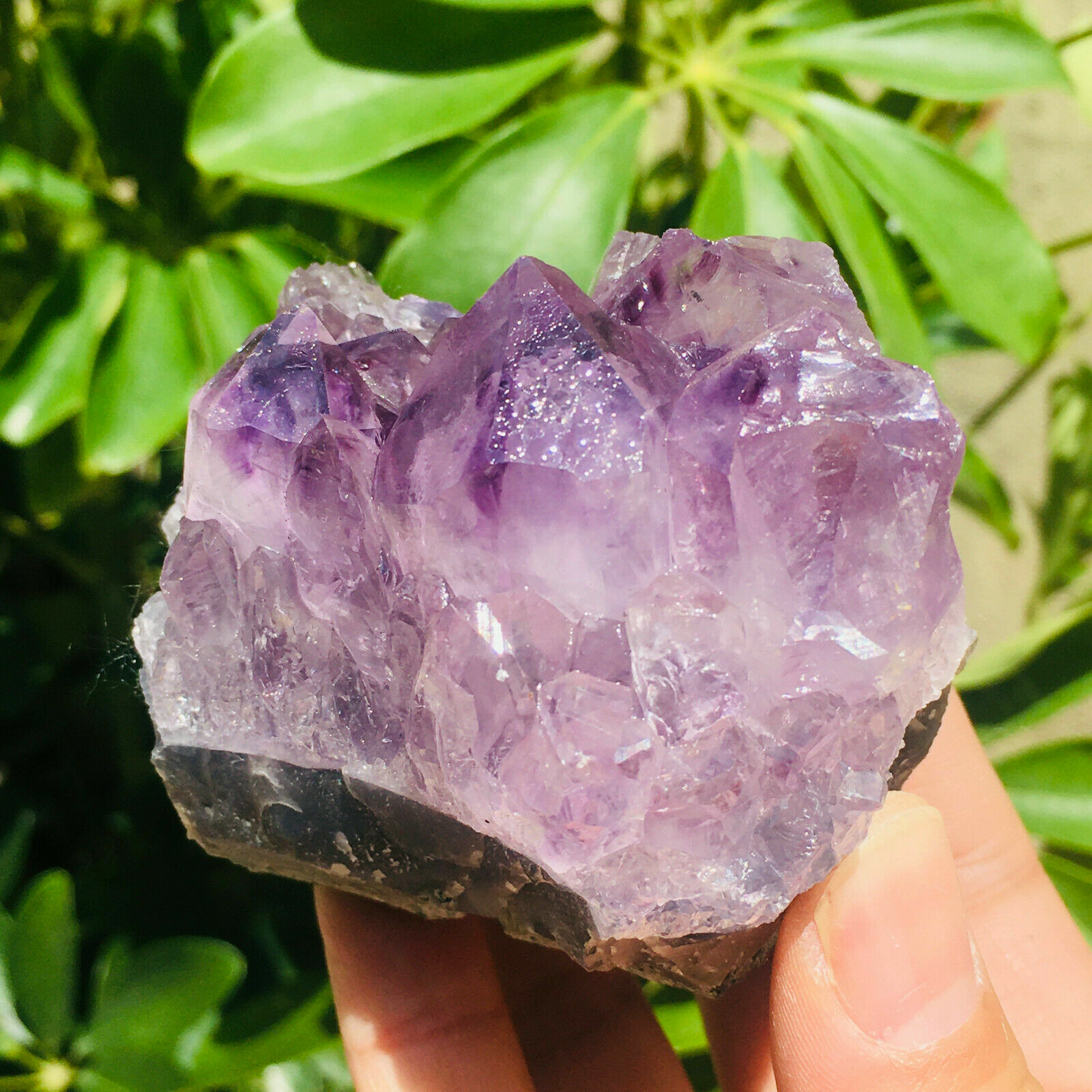 306g Natural Amethyst Geode Quartz Cluster Crystal Specimen Healing, Madagascar