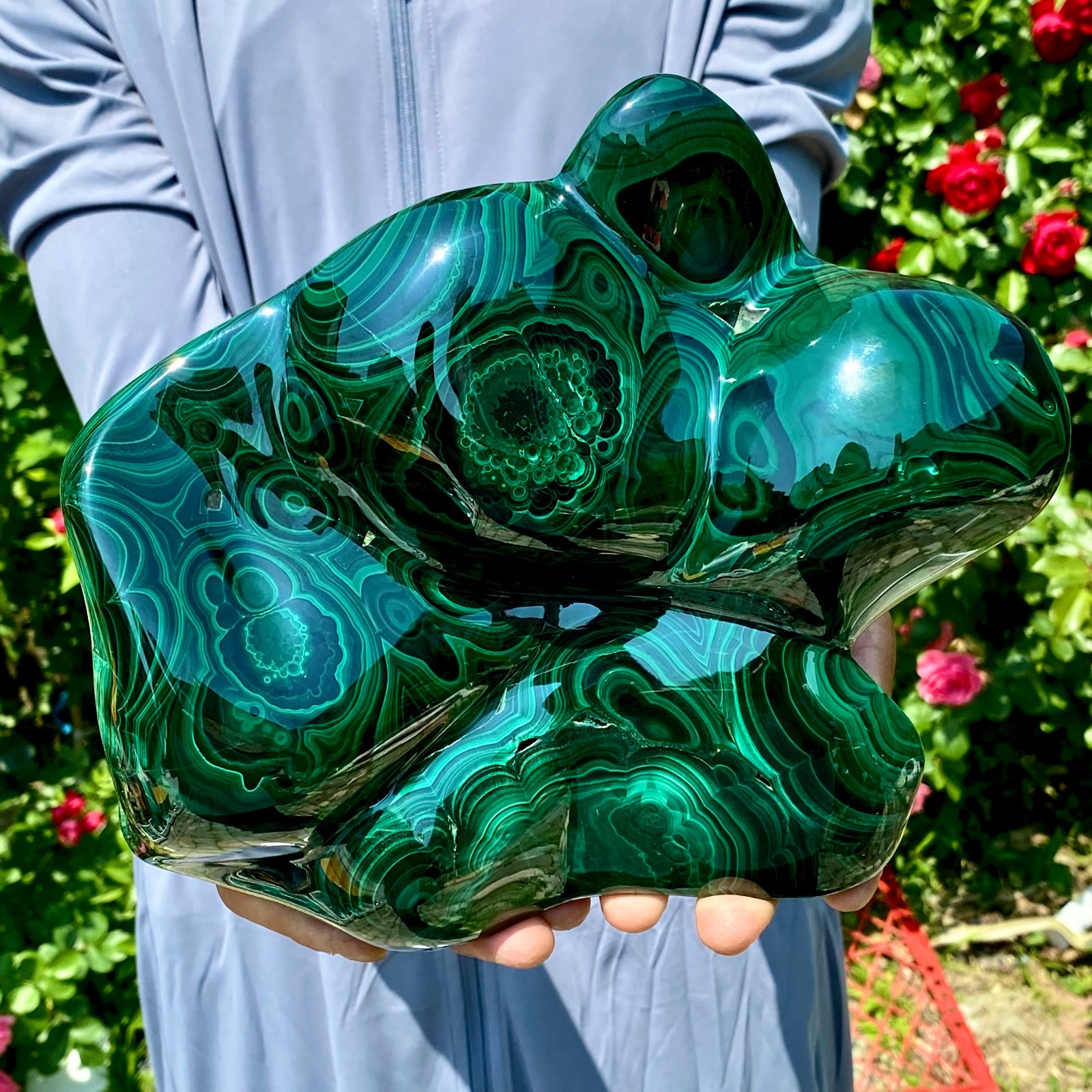 12LB Natural glossy Malachite egg transparent cluster rough mineral sample