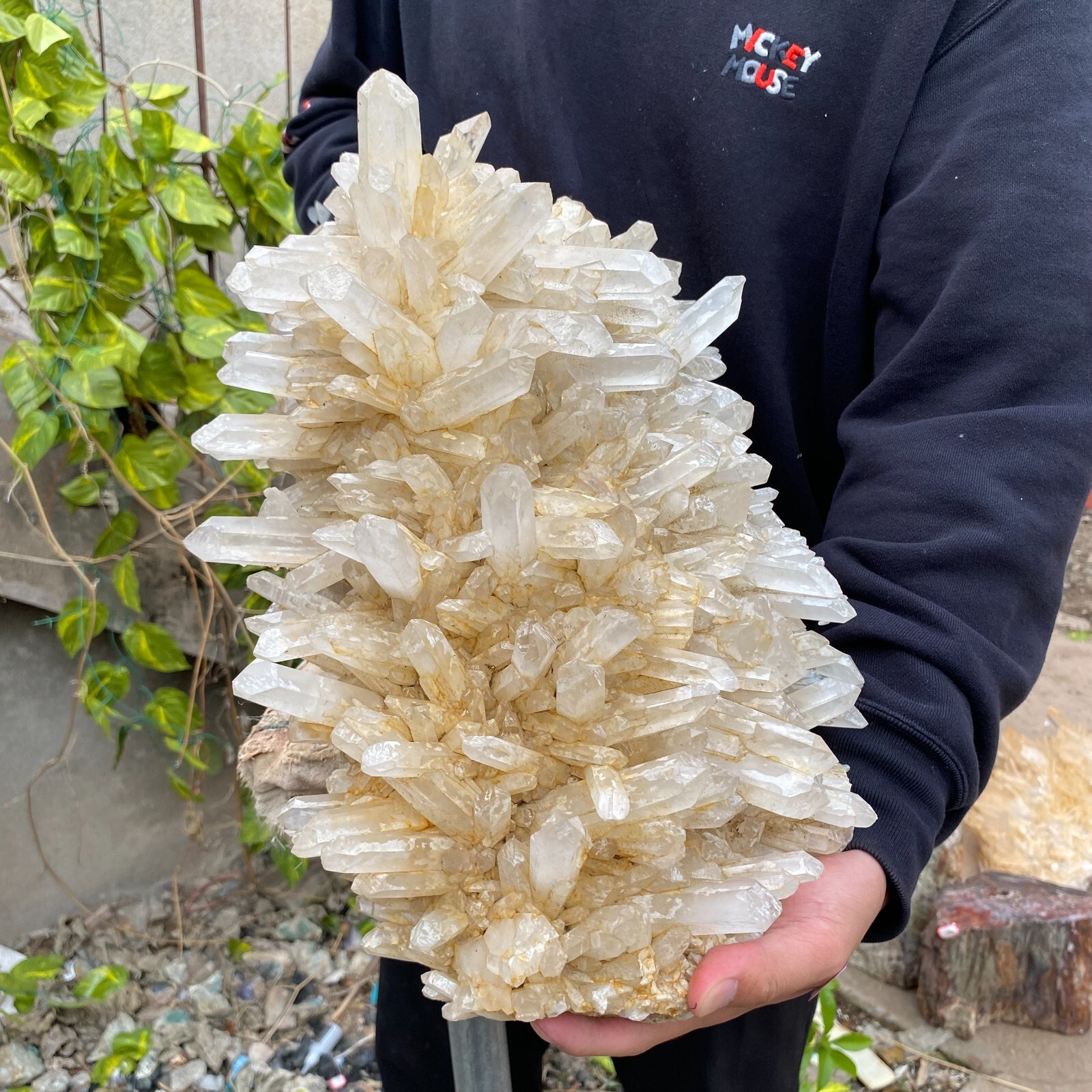 43.9lb Natural Clear White quart Crystal Cluster Raw Healing Specimen