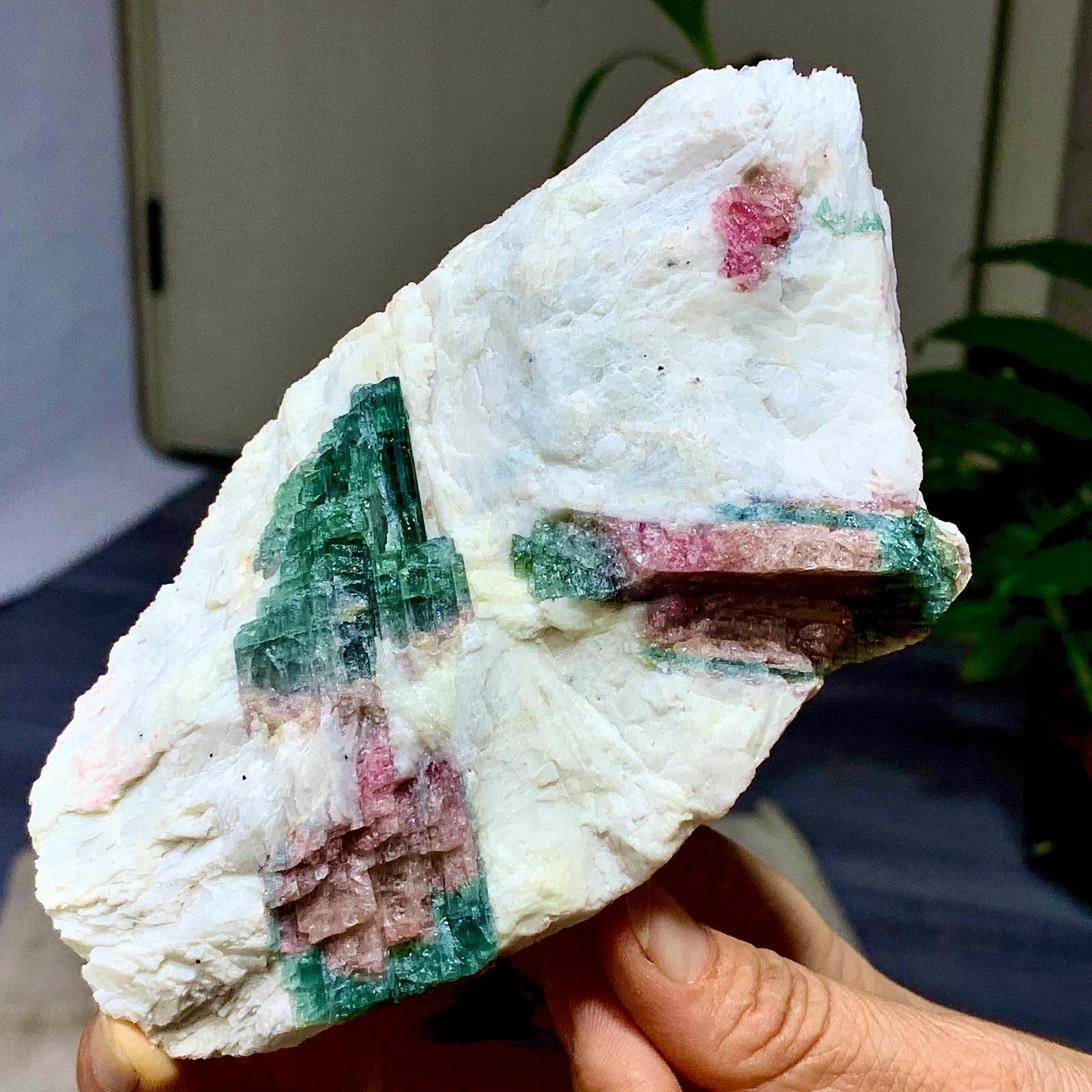 449G Natural pink-green tourmaline quartz crystal cluster mineral specimen