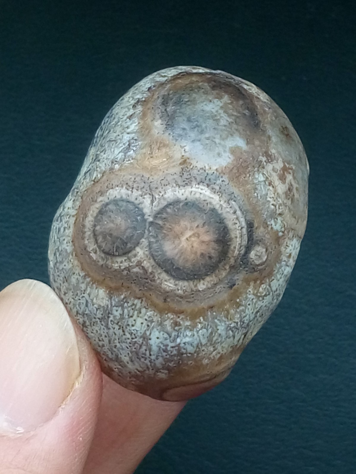 36mm Natural Gobi Agate eye agate collection