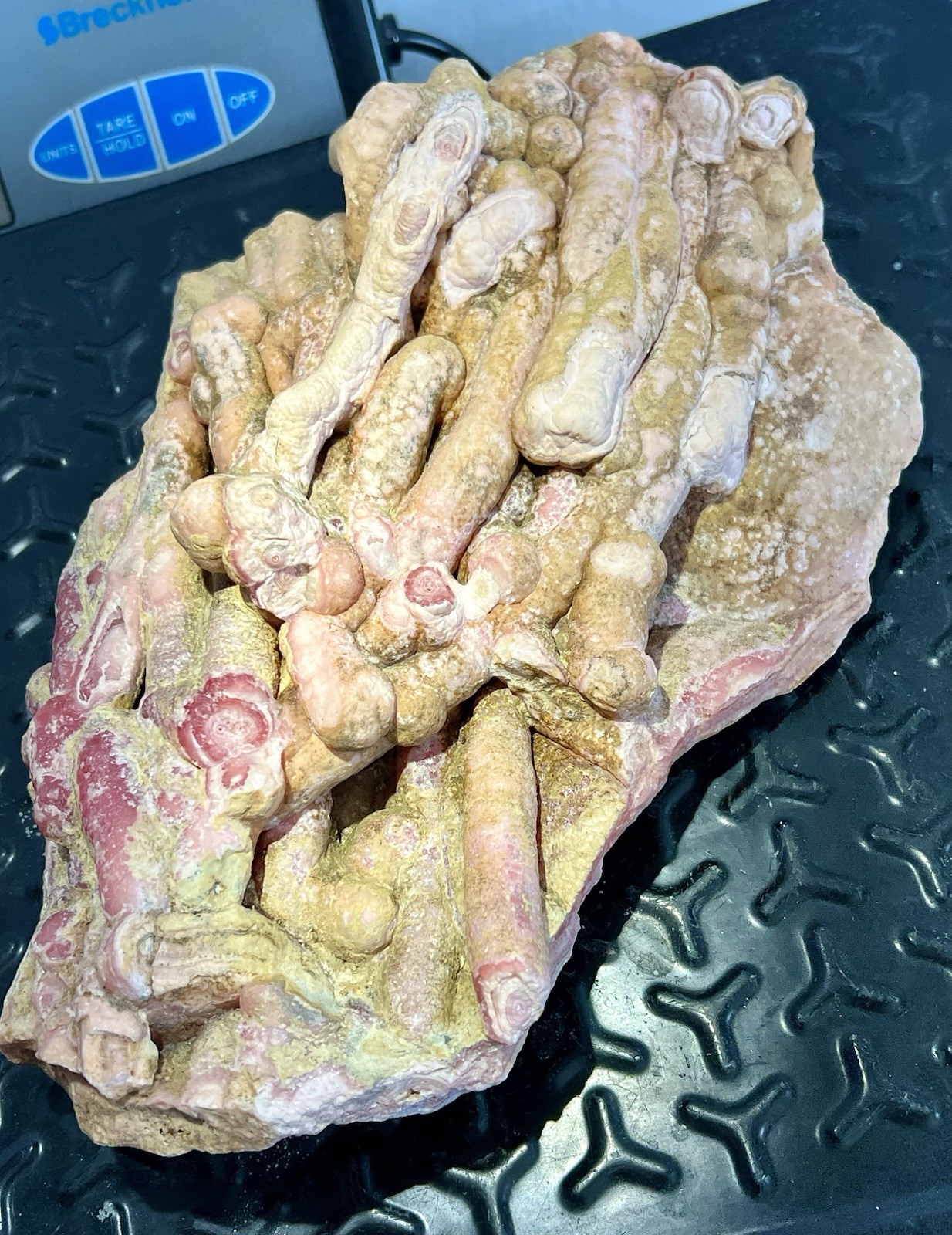 6.8 Pound: Rhodochrosite Stalactite Cluster Massive Ortiz, Capillitas, Argentina