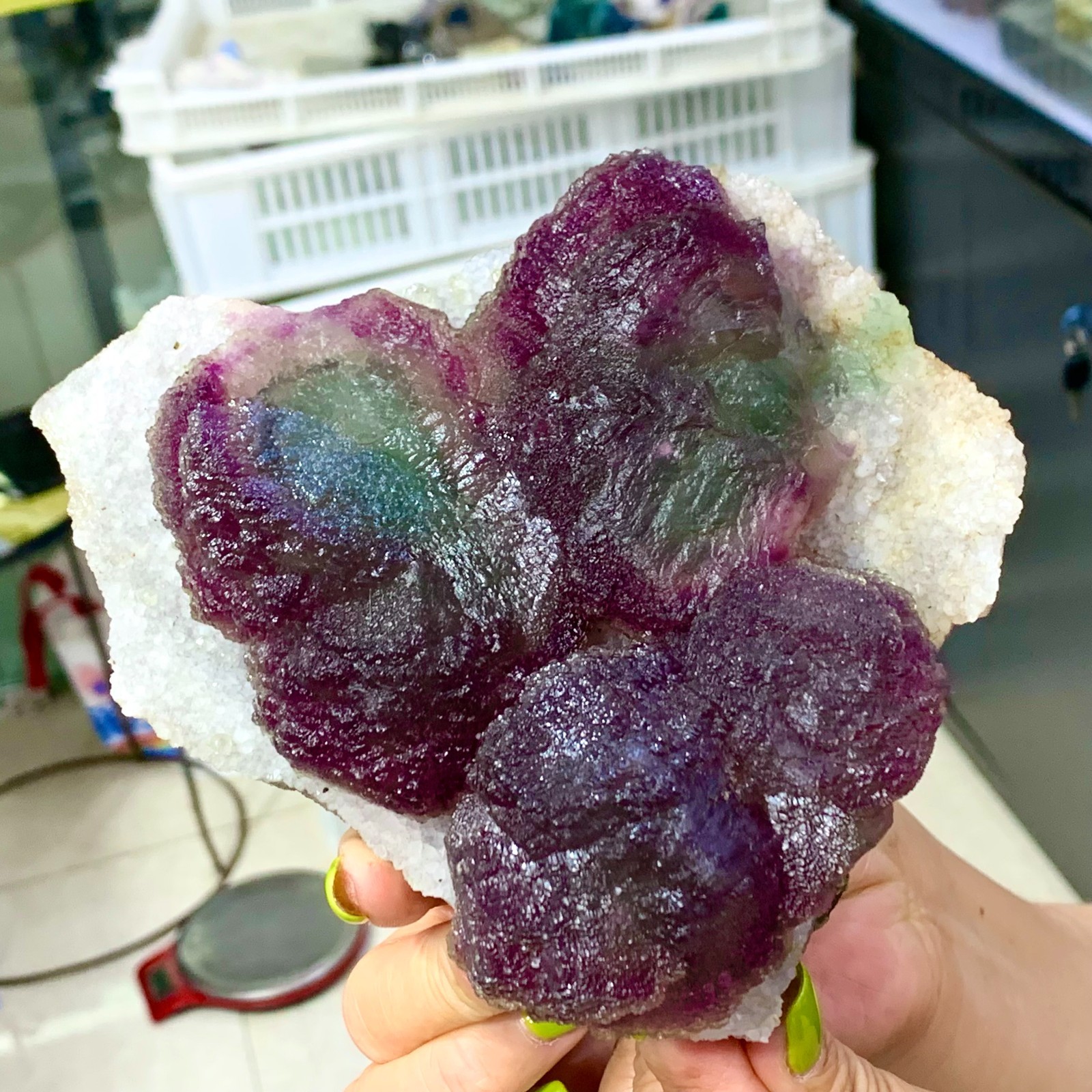 105G Rare transparent purple cubic fluorite mineral crystal sample/China