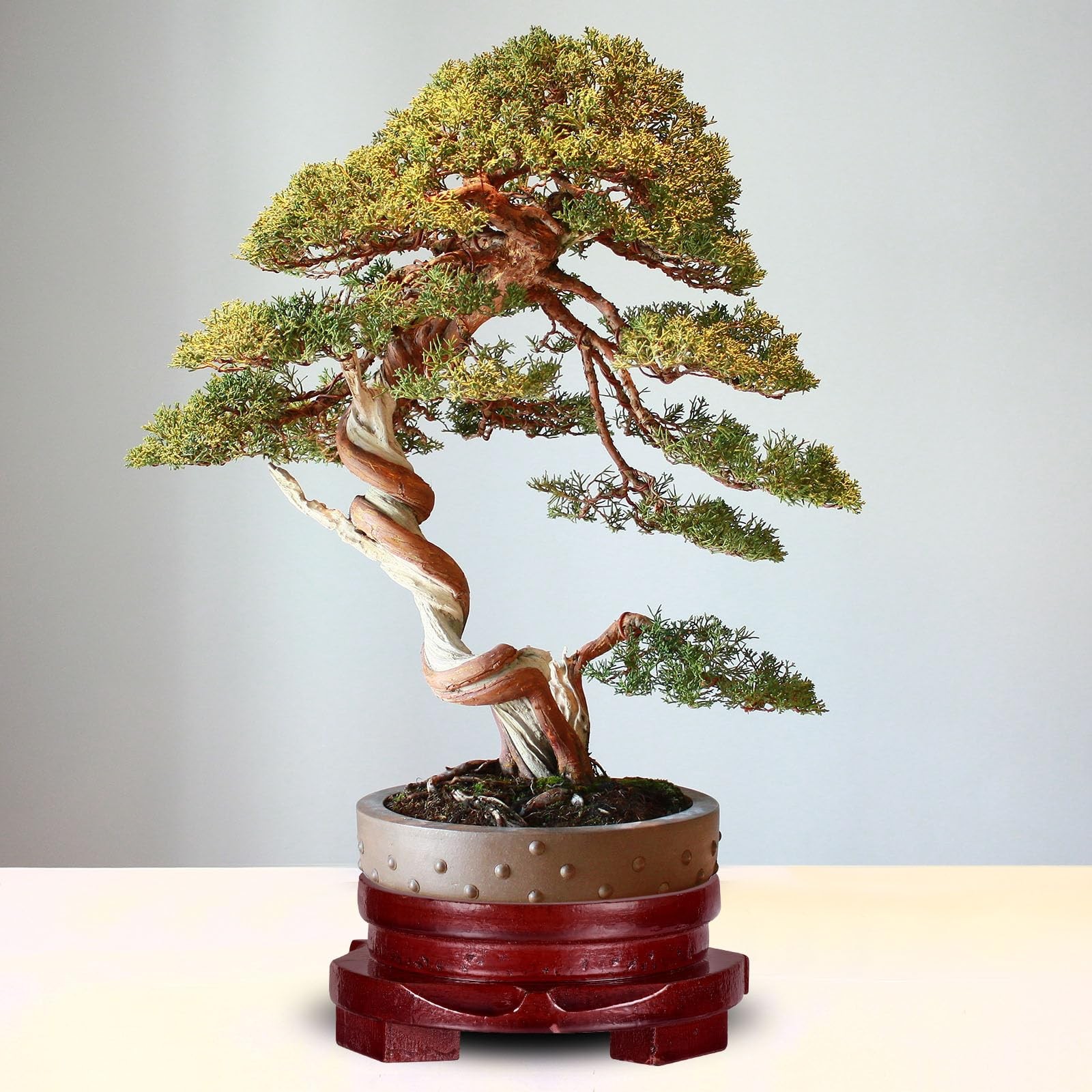 Planter Display Stand, 5.9 Inch Dia Round Bonsai Base Imitation Wood Style Ho…