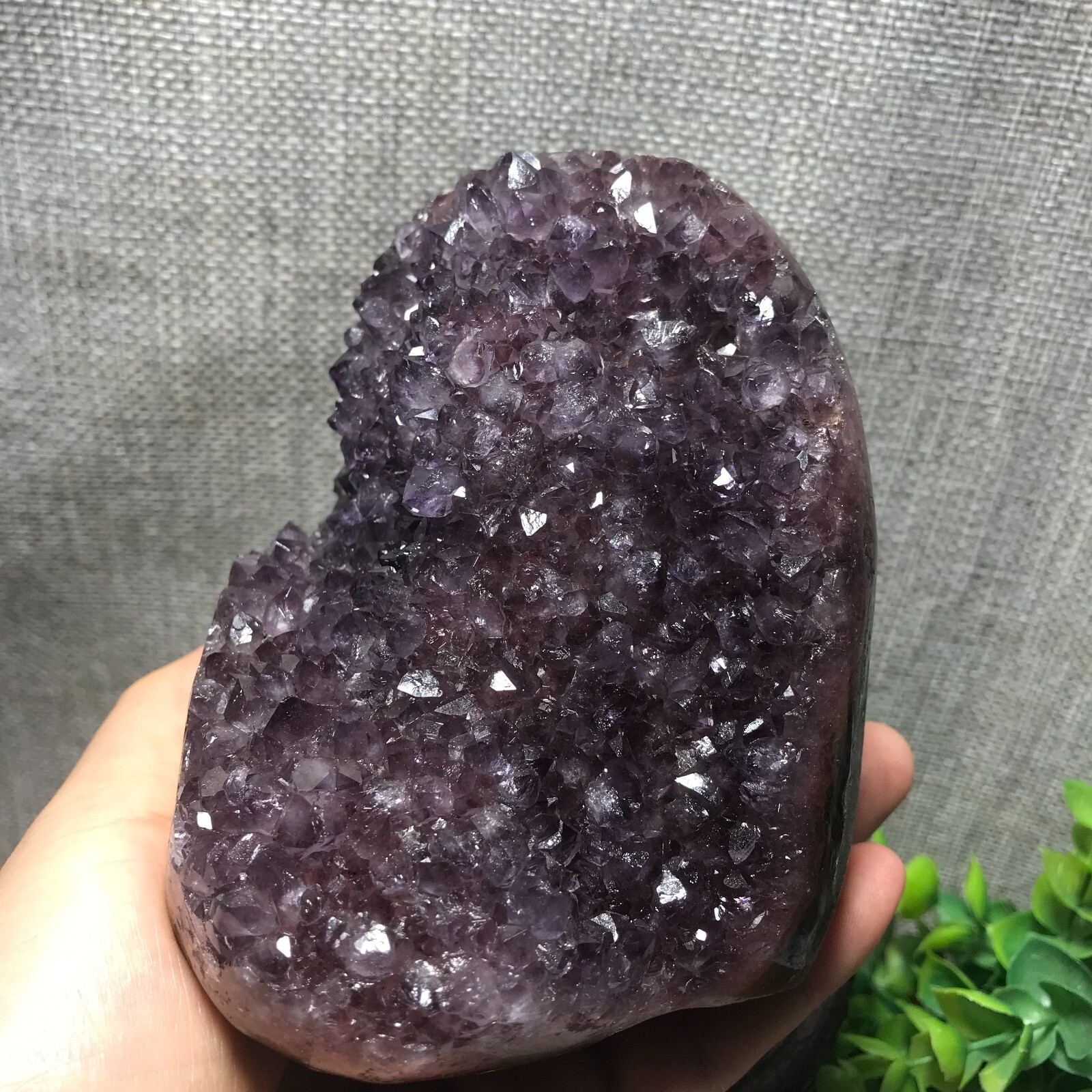 821g Natural Amethyst Cluster Geodes Cut Base Quartz Crystal Healing Specimen 32