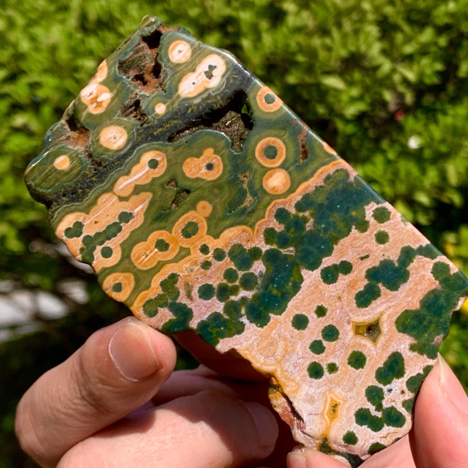 82G Natural Ocean Jasper Crystal SliceLarge Specimen Healing- Museum