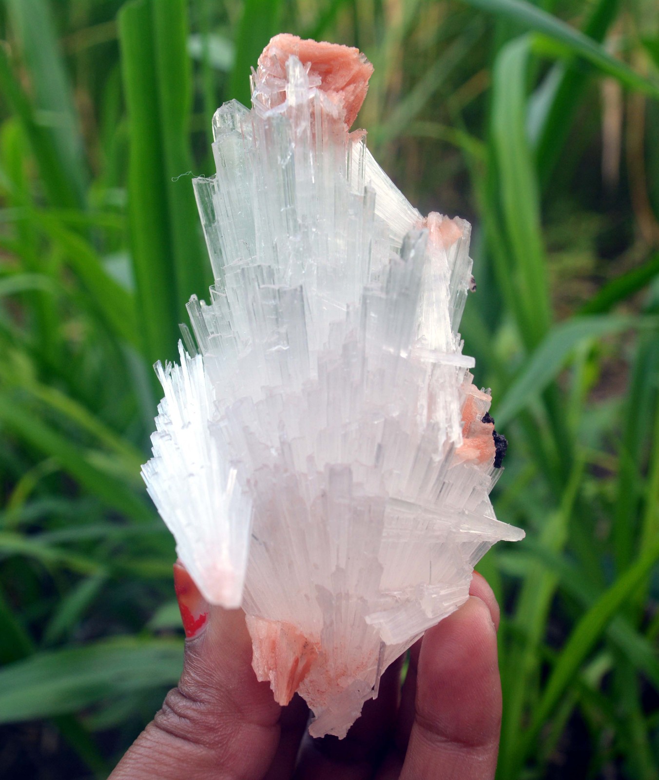 scolecite spray w/ stilbite formation minerals specimen j-7