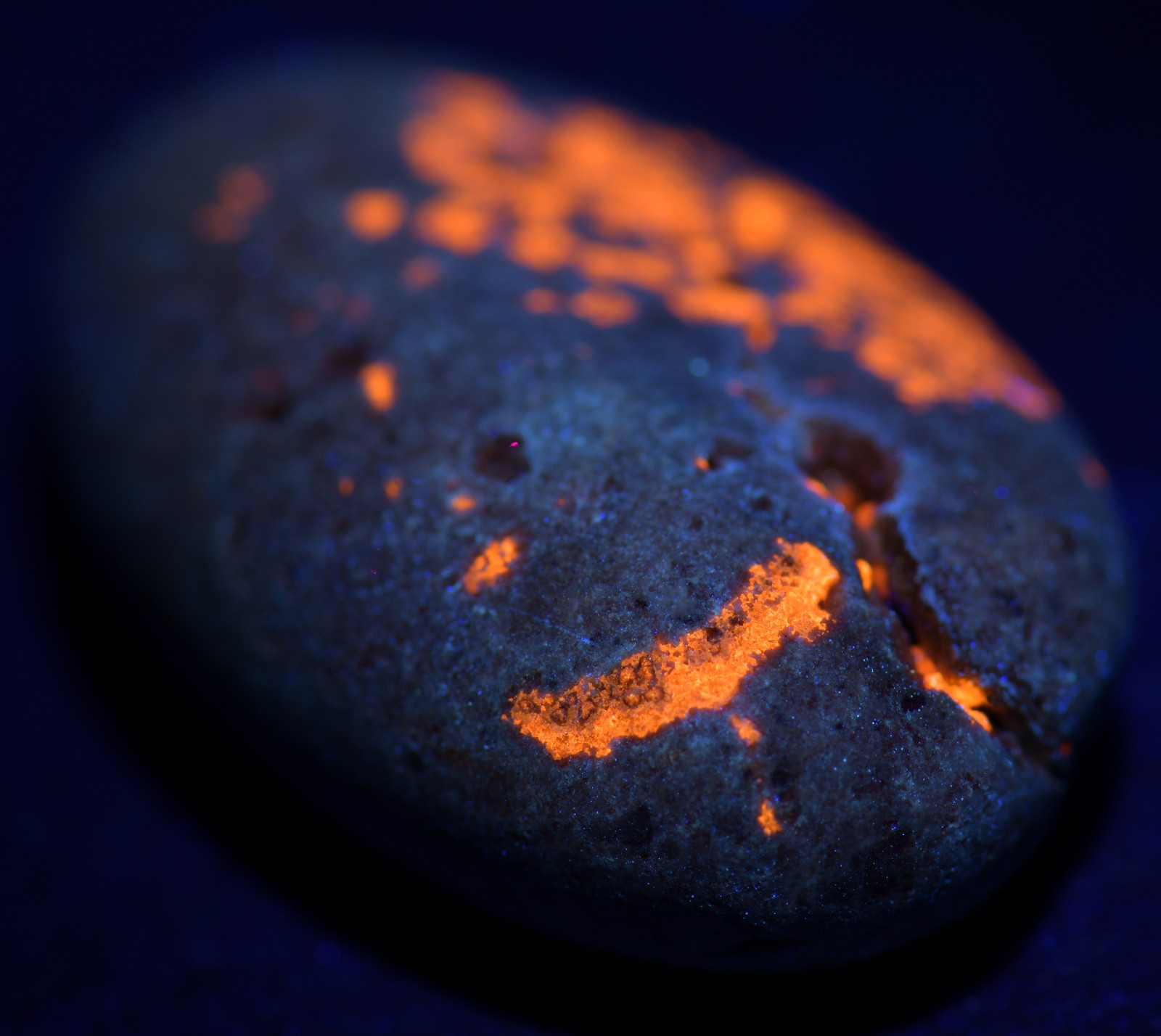 Sphalerite in Limestone, fluorescent. Milwaukee County, Wisconsin. 26 grams.