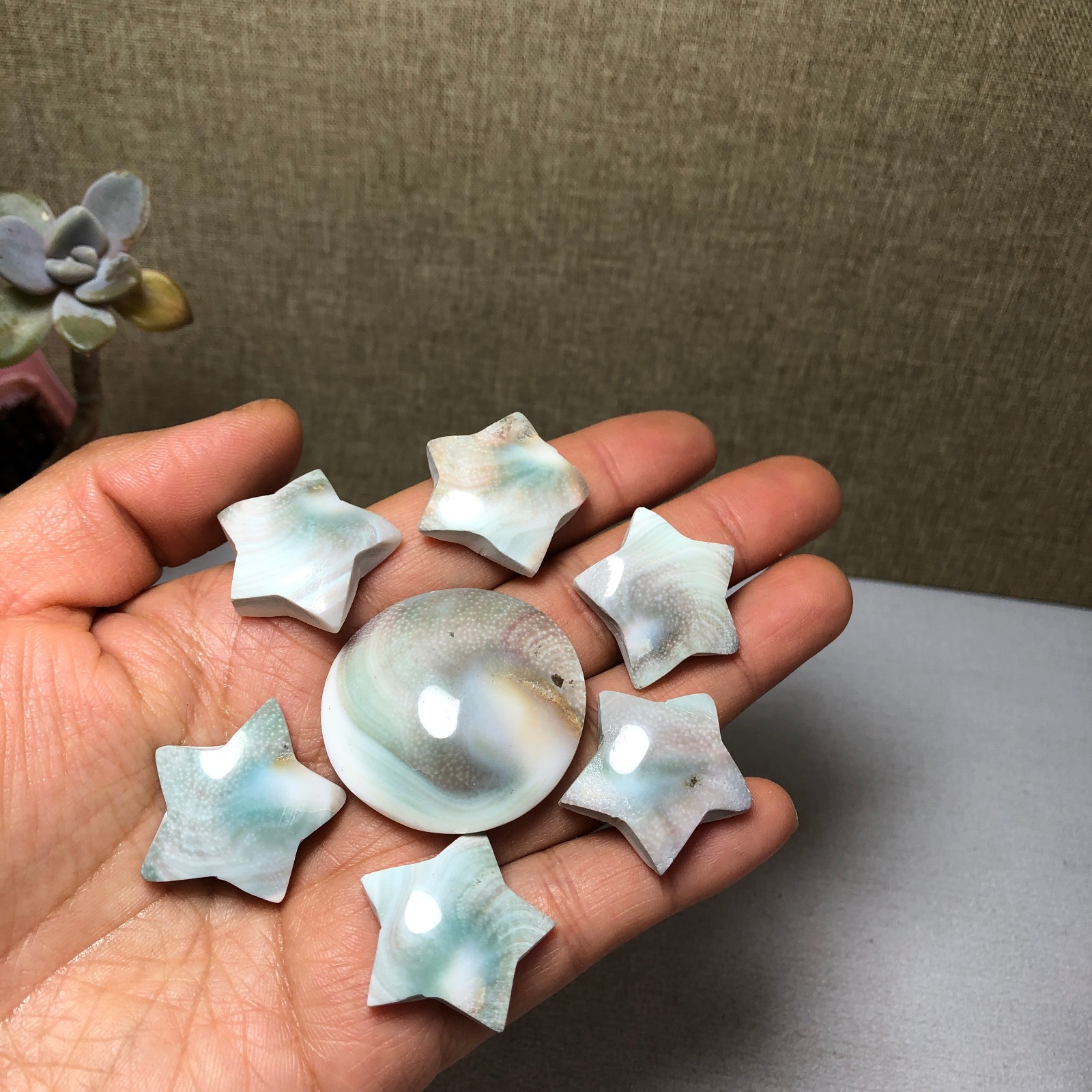 7pcs Rare sun shell Reiki Shiva Eye ocean semi-precious stone 57g A2762