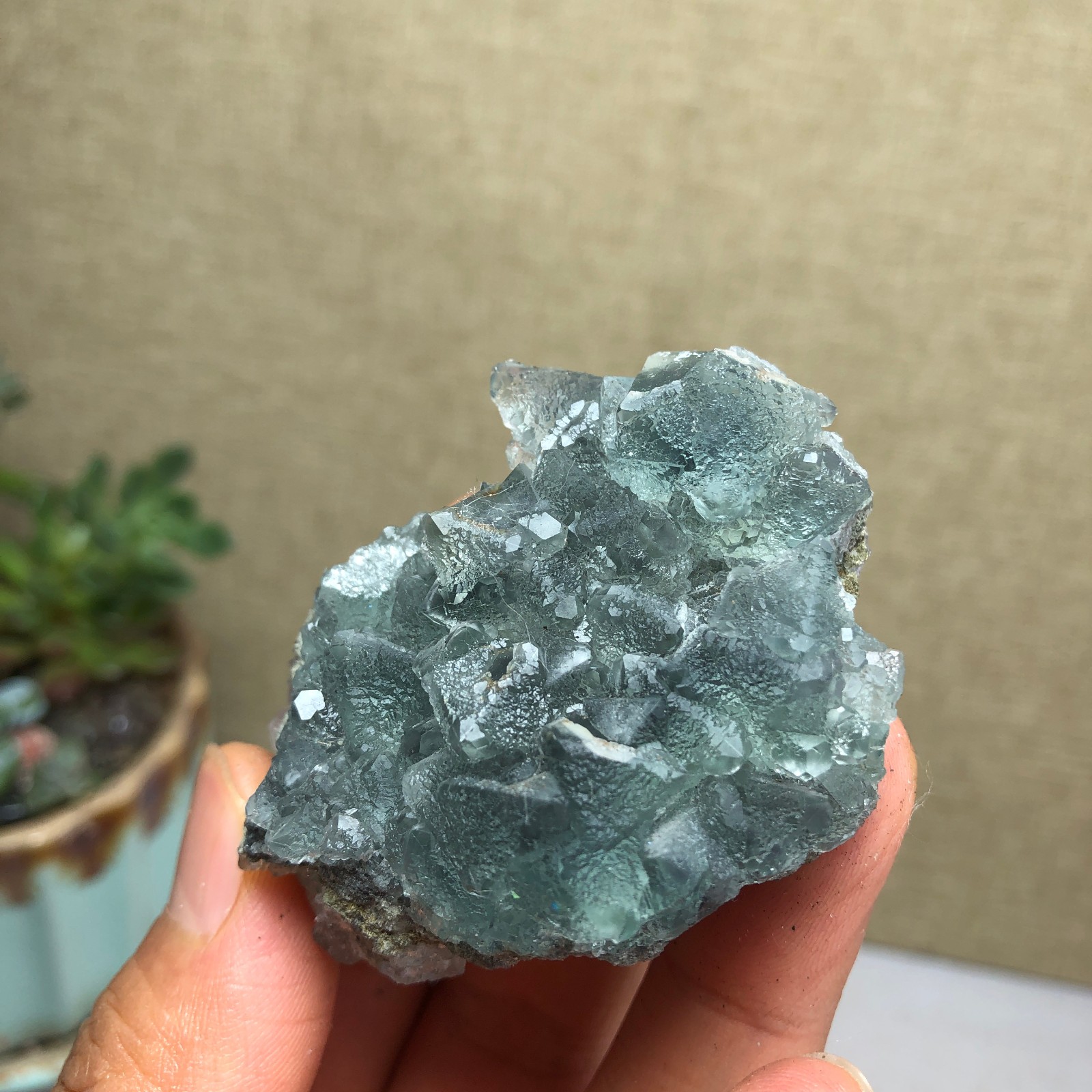 70g NATURAL Green Cubic FLUORITE Crystal Cluster Mineral Specimen A4740